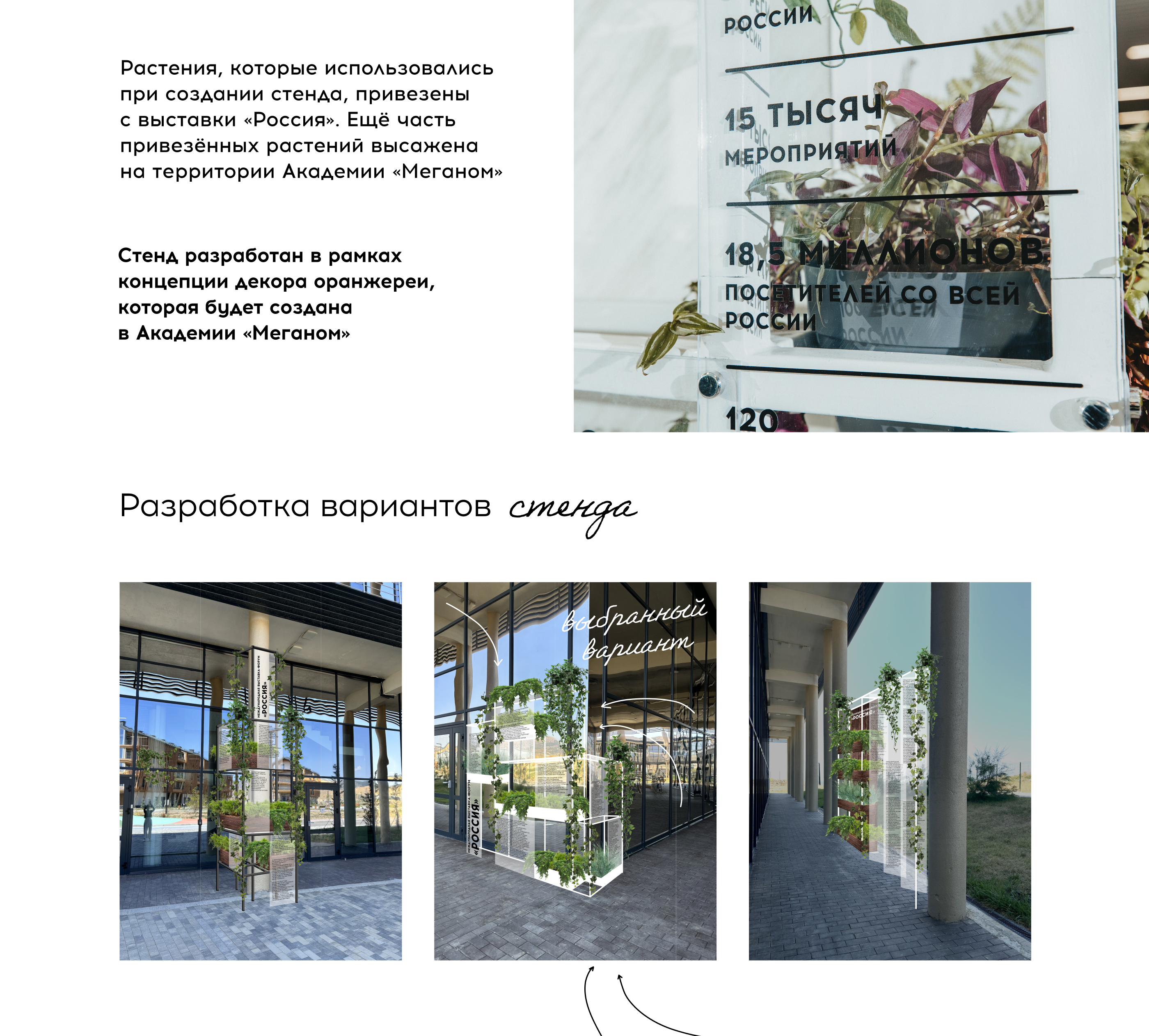 Стенд с растениями // Таврида.АРТ — Изображение №2 — Иллюстрация, 3D на Dprofile