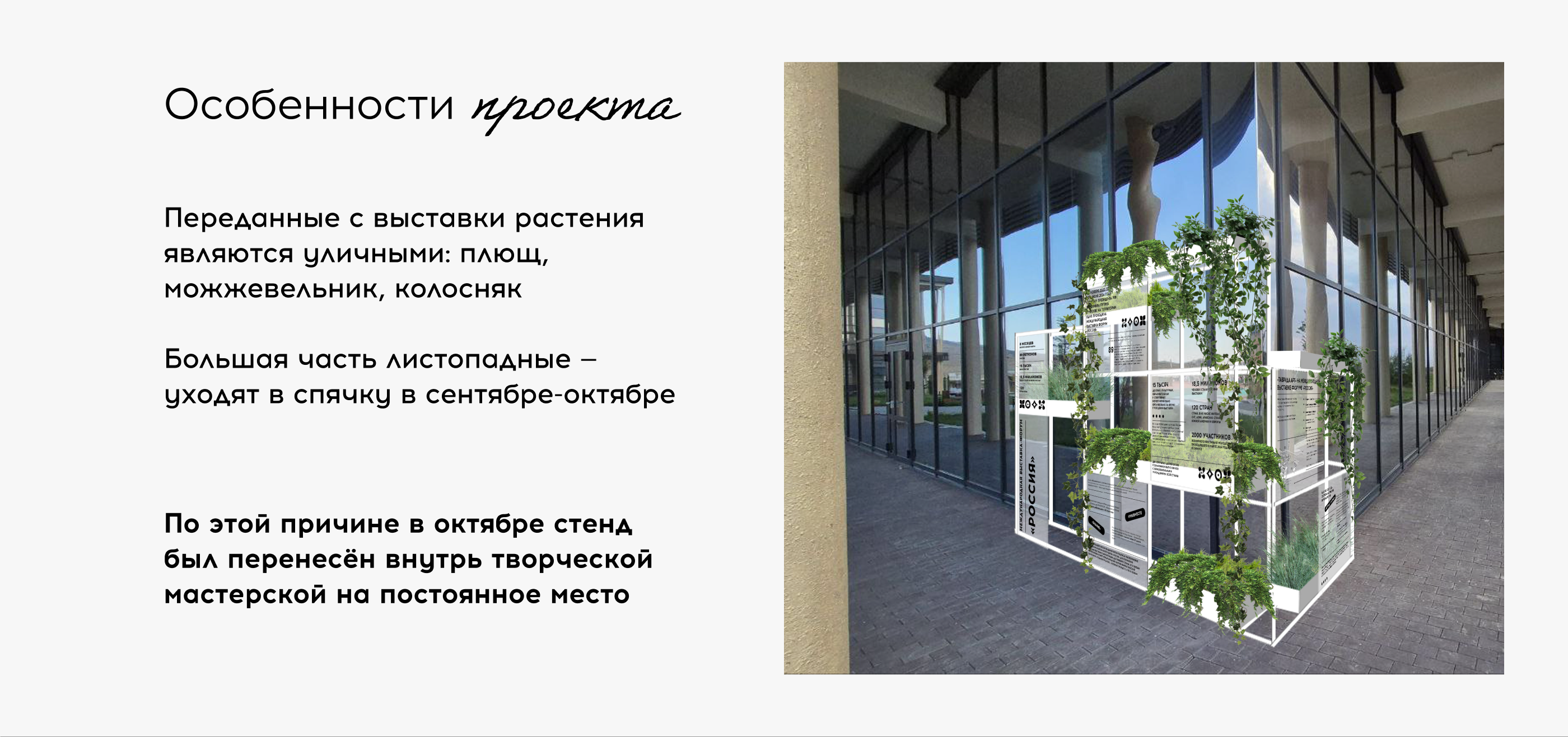 Стенд с растениями // Таврида.АРТ — Изображение №5 — Иллюстрация, 3D на Dprofile