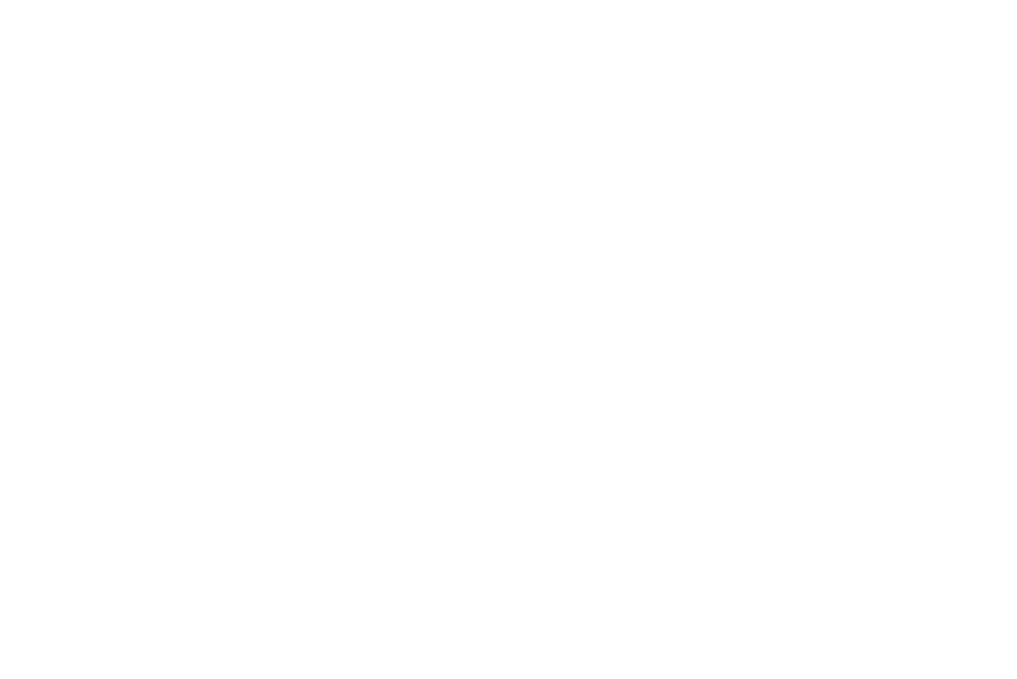 ЛОГОТИП НСК ГРУПП — Изображение №3 — Брендинг на Dprofile