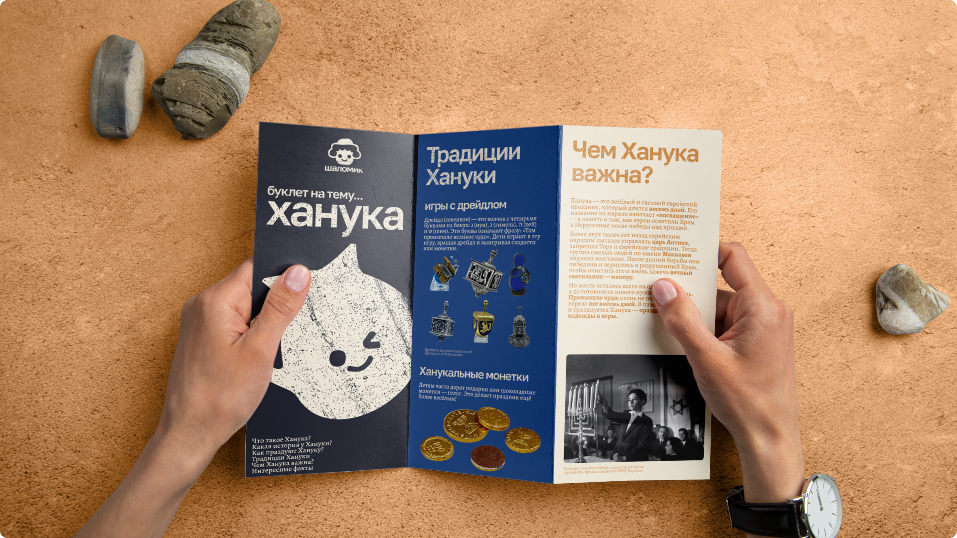 Образовательный ресурс «Шаломик» — Изображение №24 — Брендинг, Анимация на Dprofile