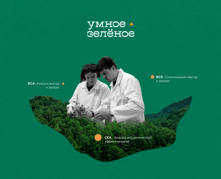 Умное Зелёное — ресурс о городских деревьях — Графика на Dprofile