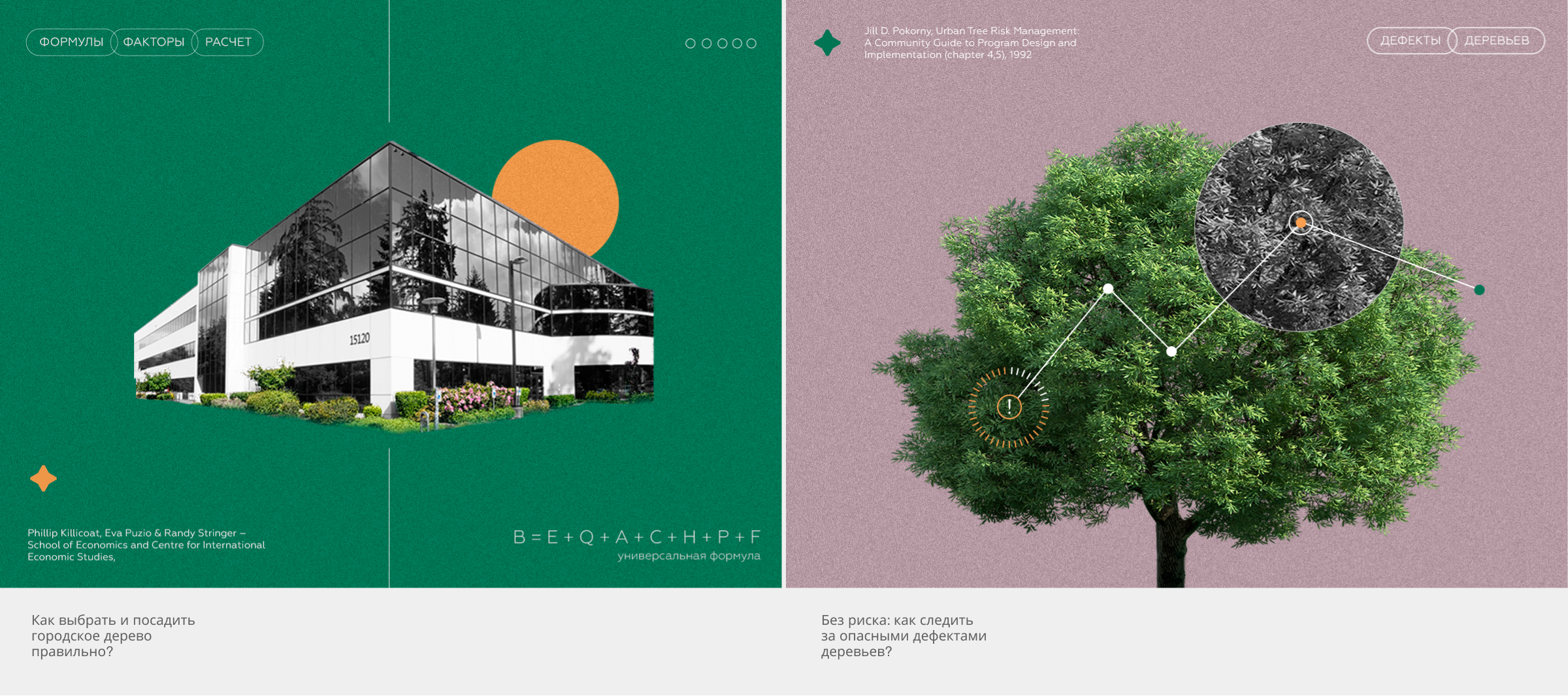 Умное Зелёное — ресурс о городских деревьях — Изображение №11 — Графика на Dprofile