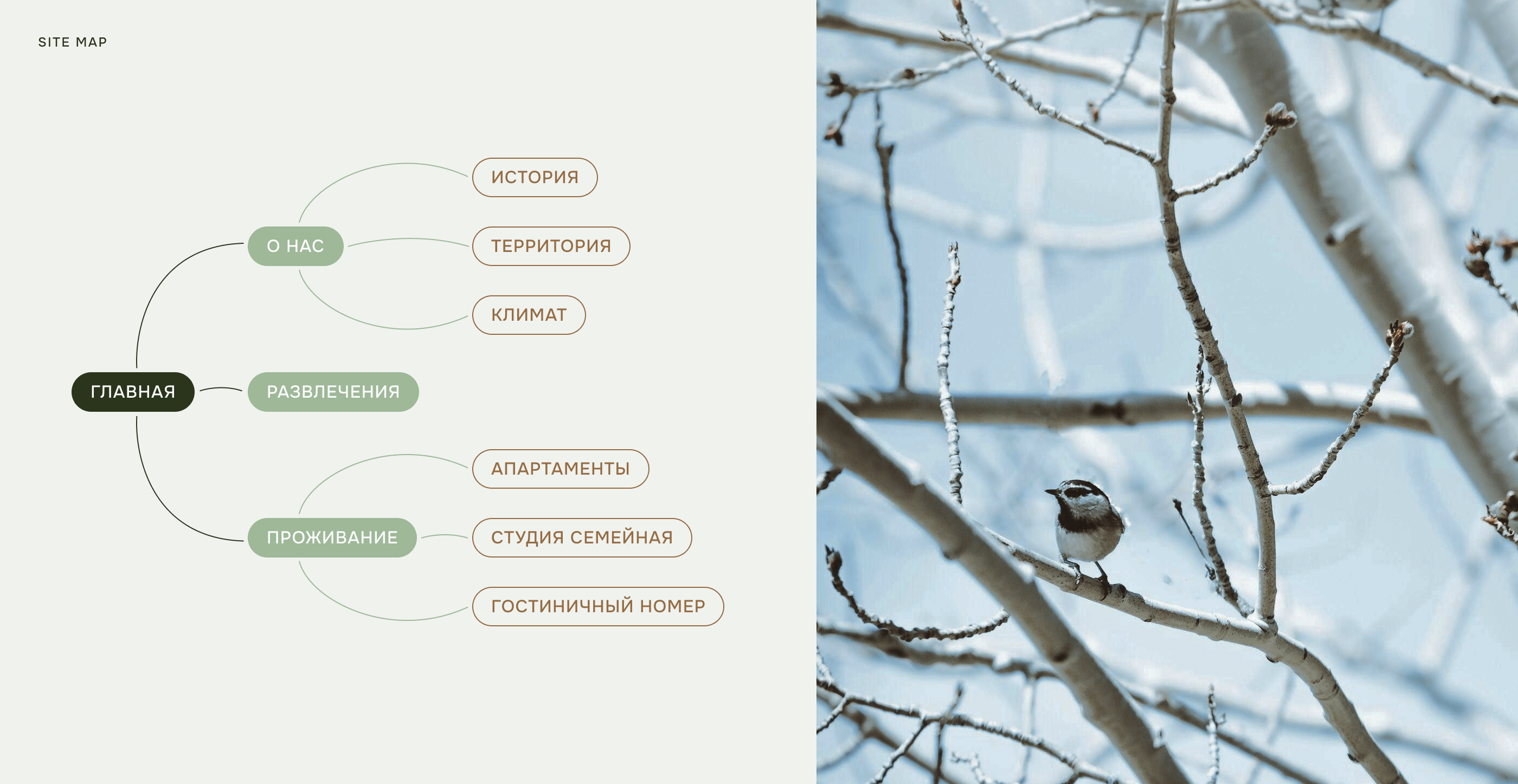 Apartment Park UI/UX & Branding — Изображение №22 — Интерфейсы, Брендинг на Dprofile