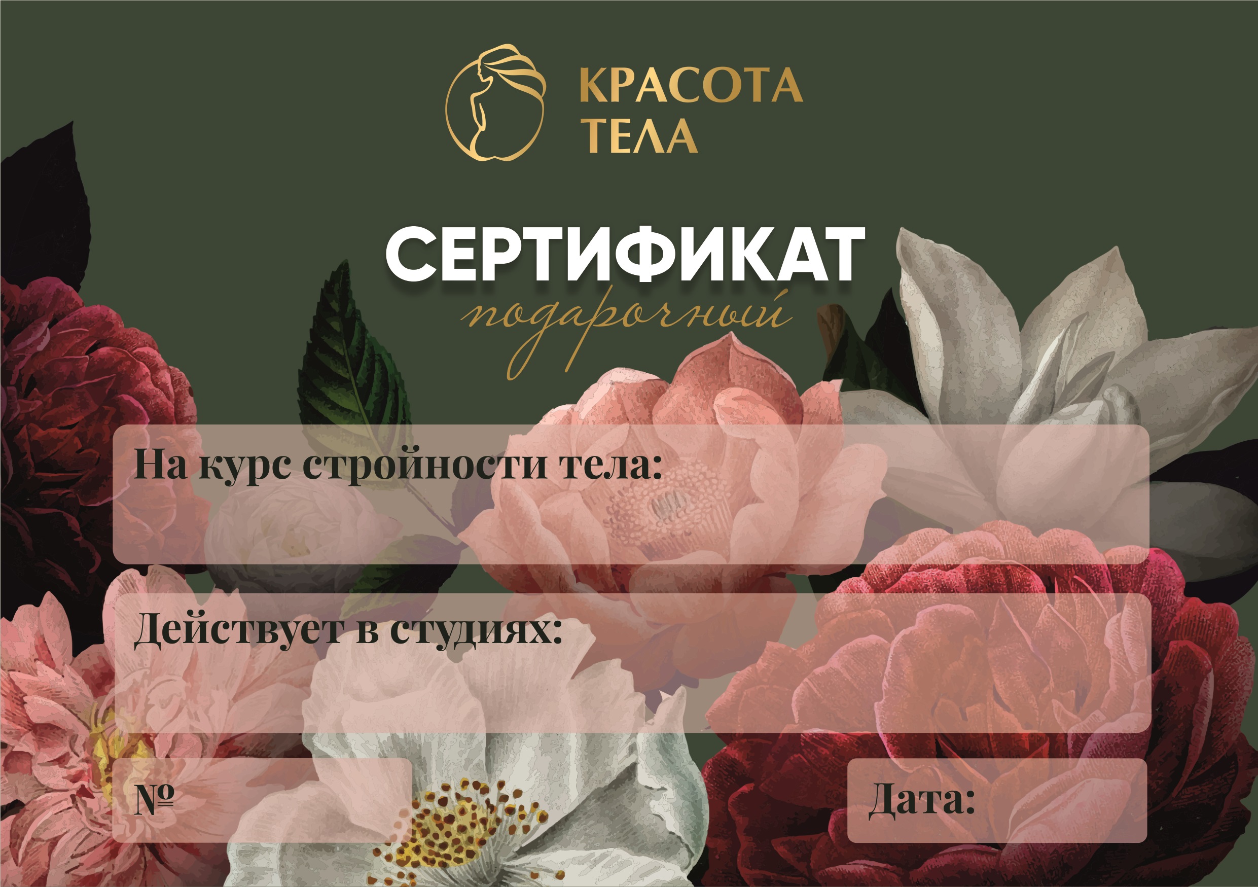 Дизайн сертификата — Изображение №1 — Графика, Маркетинг на Dprofile