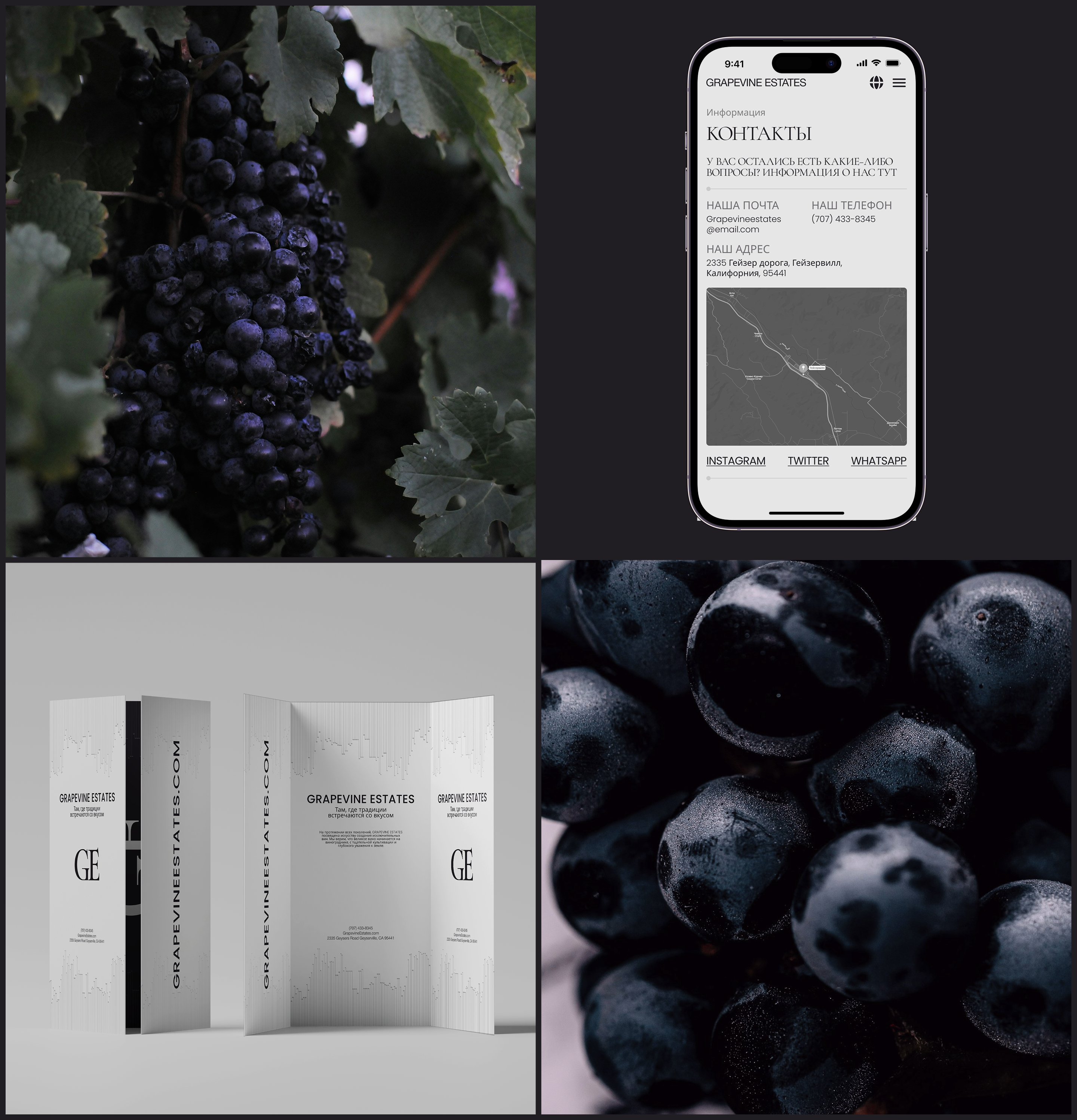 GRAPEVINE ESTATES — Изображение №14 — Интерфейсы на Dprofile