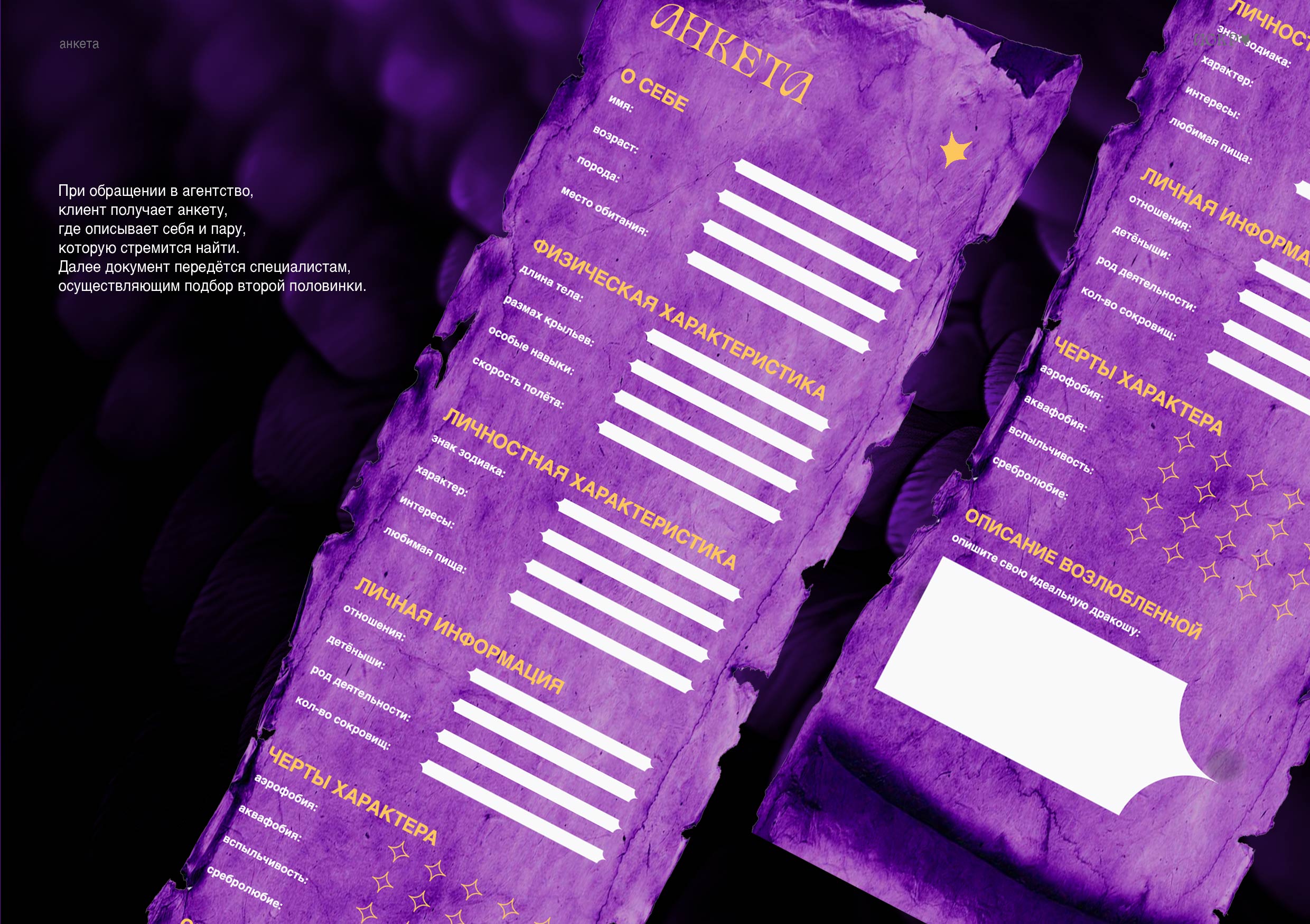 Искра — Изображение №16 — Брендинг, Графика на Dprofile