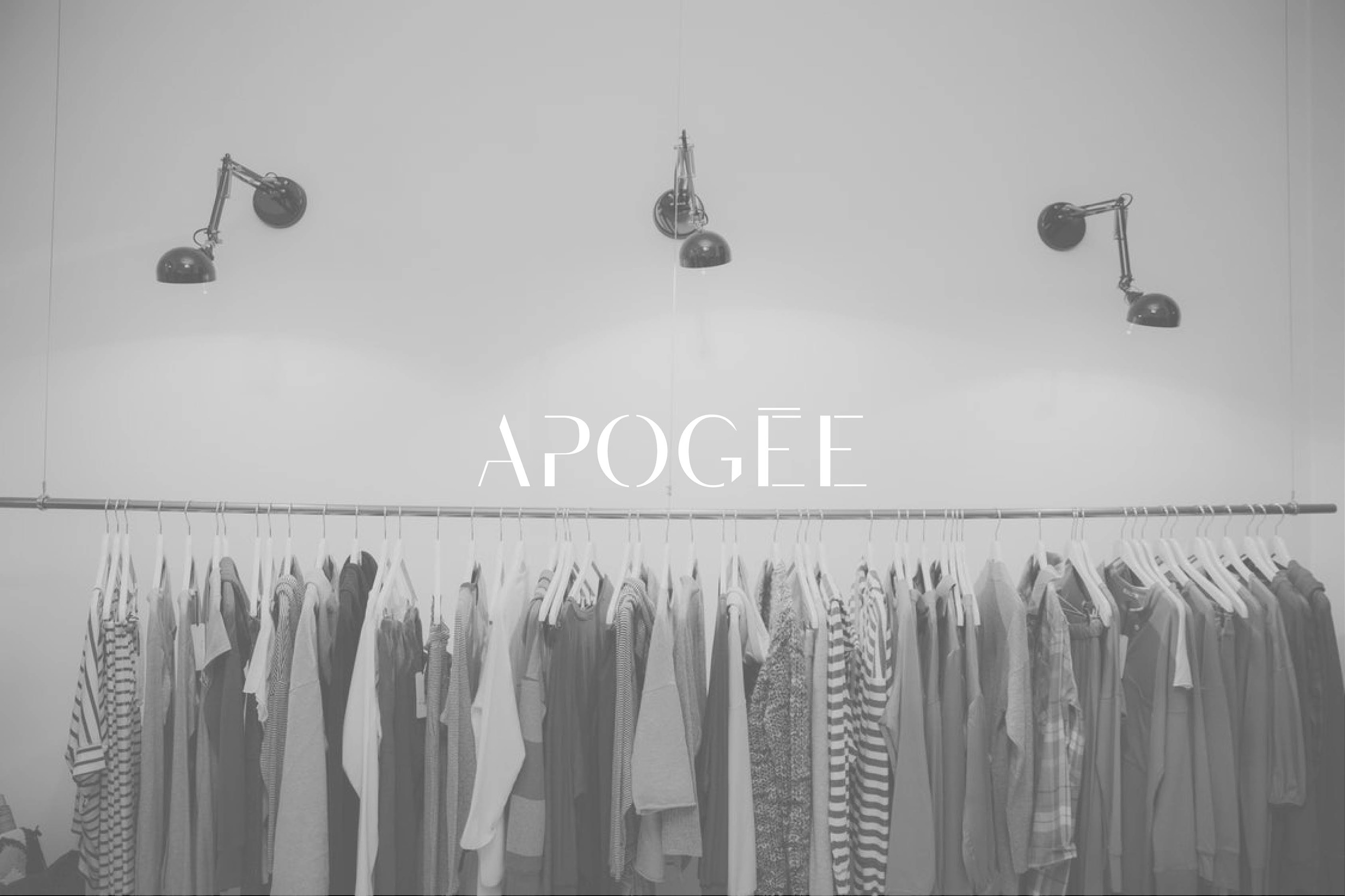 APOGÉE BRAND IDENTITY — Изображение №1 — Брендинг, Графика на Dprofile