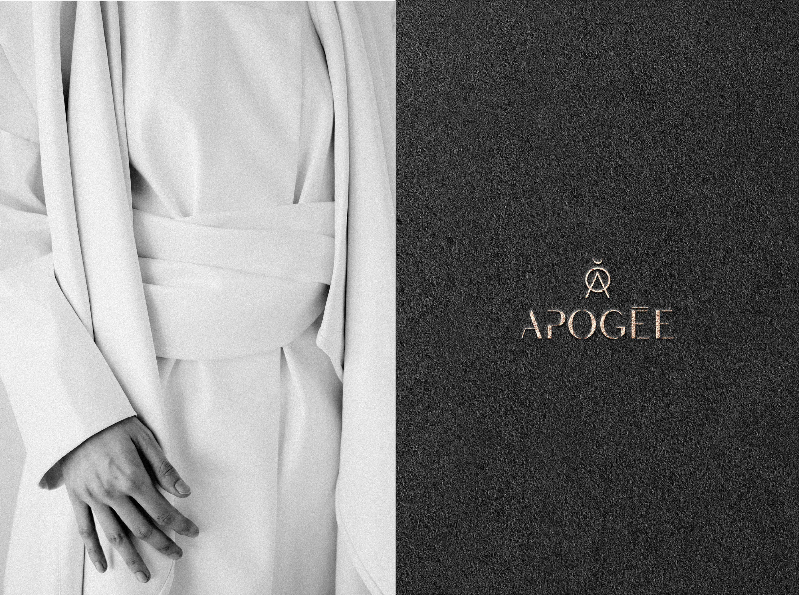 APOGÉE BRAND IDENTITY — Изображение №4 — Брендинг, Графика на Dprofile