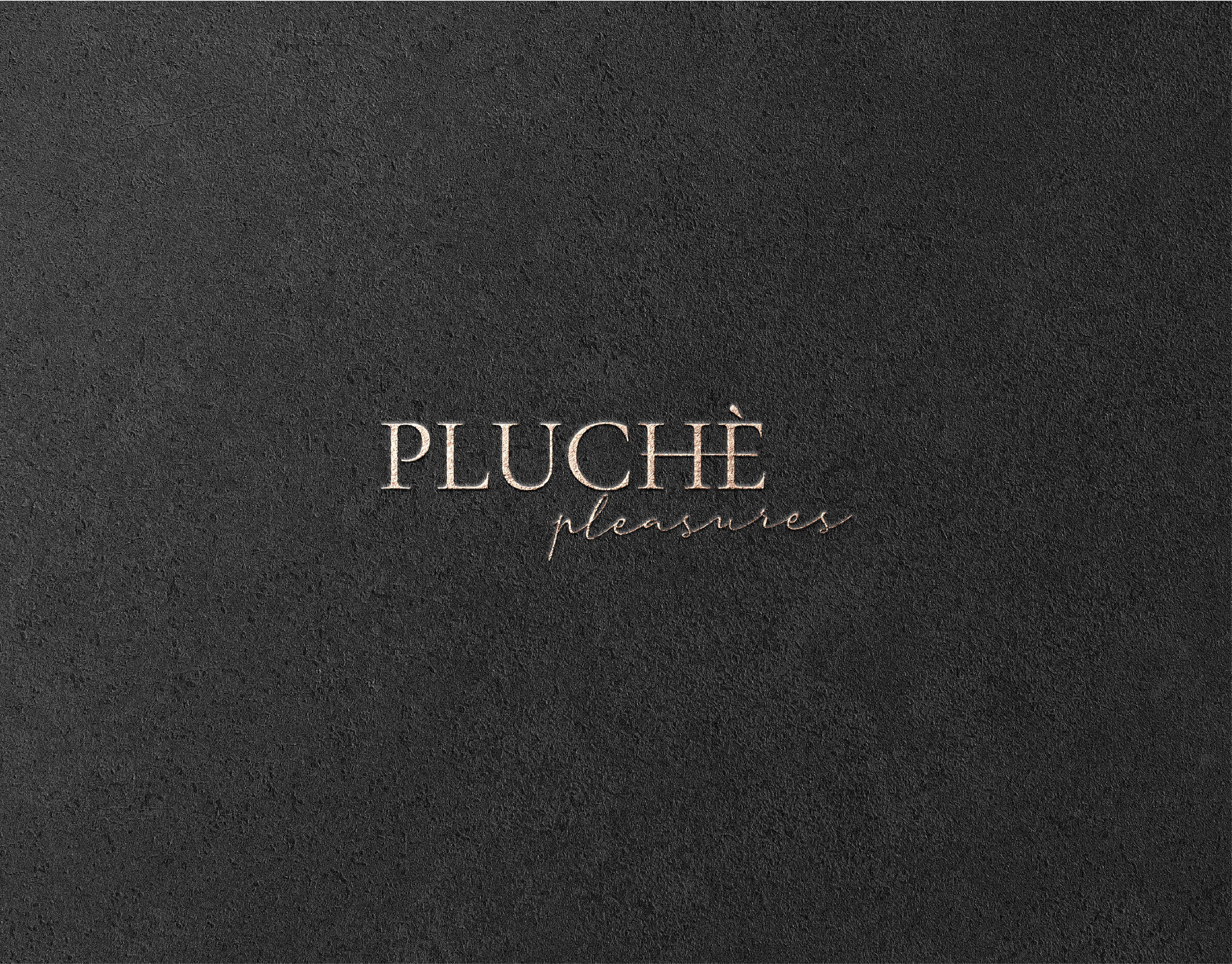 LOGOTYPE for Pluchè Pleasures — Изображение №3 — Брендинг, Графика на Dprofile