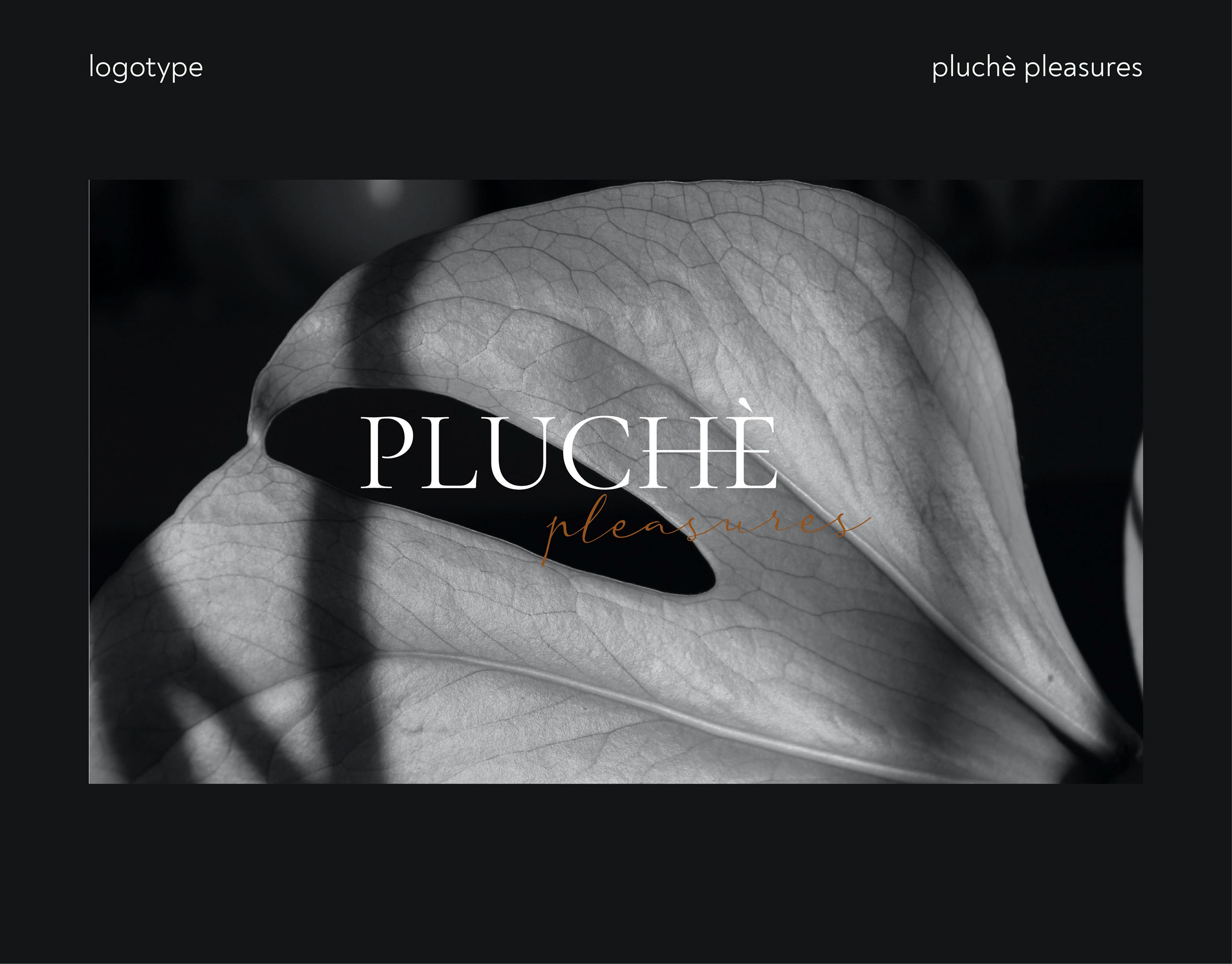 LOGOTYPE for Pluchè Pleasures — Изображение №1 — Брендинг, Графика на Dprofile