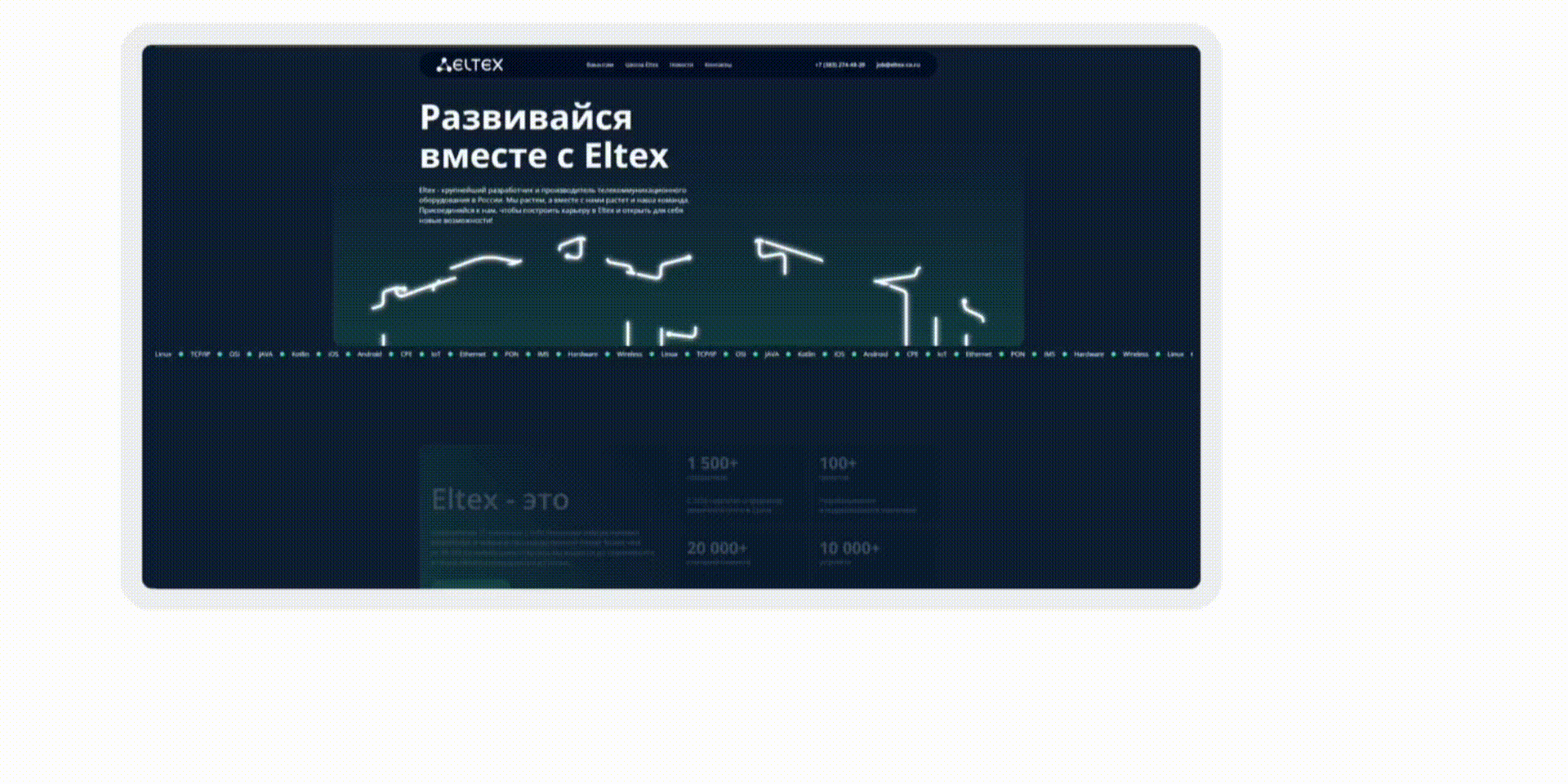 Маскот Манул Эл — Изображение №6 — Иллюстрация, Графика на Dprofile