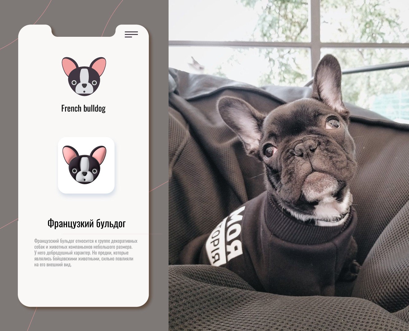 12 DOG ICONS — Иллюстрация, Графика на Dprofile