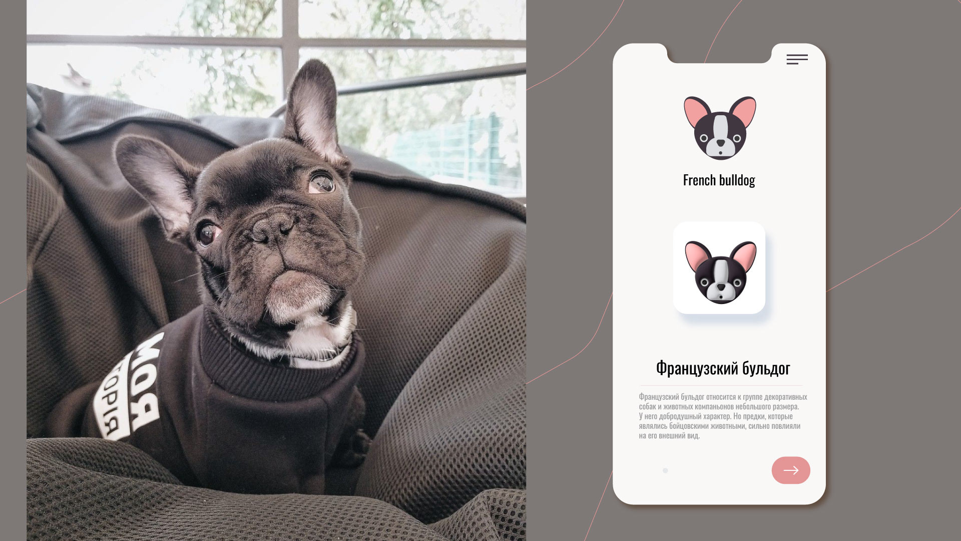 12 DOG ICONS — Изображение №5 — Иллюстрация, Графика на Dprofile