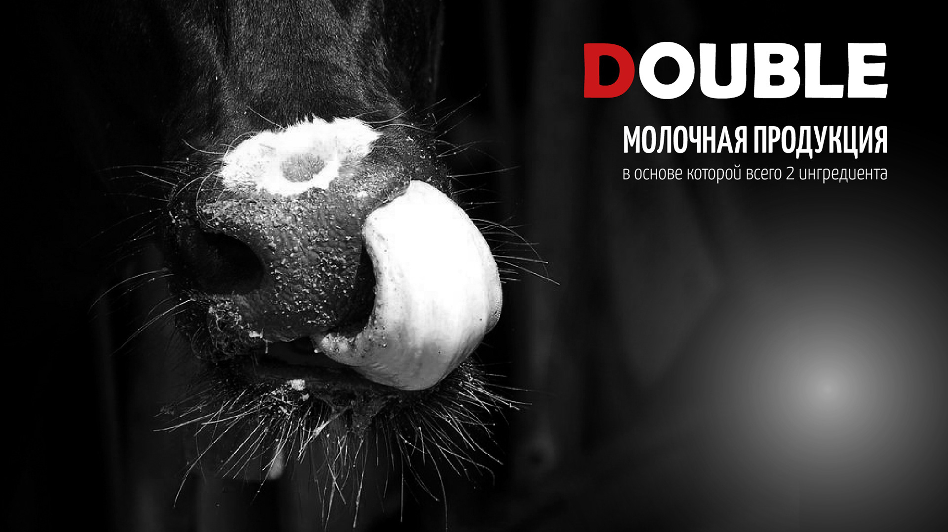 Дизайн упаковки молочной продукции — Изображение №1 — Брендинг, Графика на Dprofile