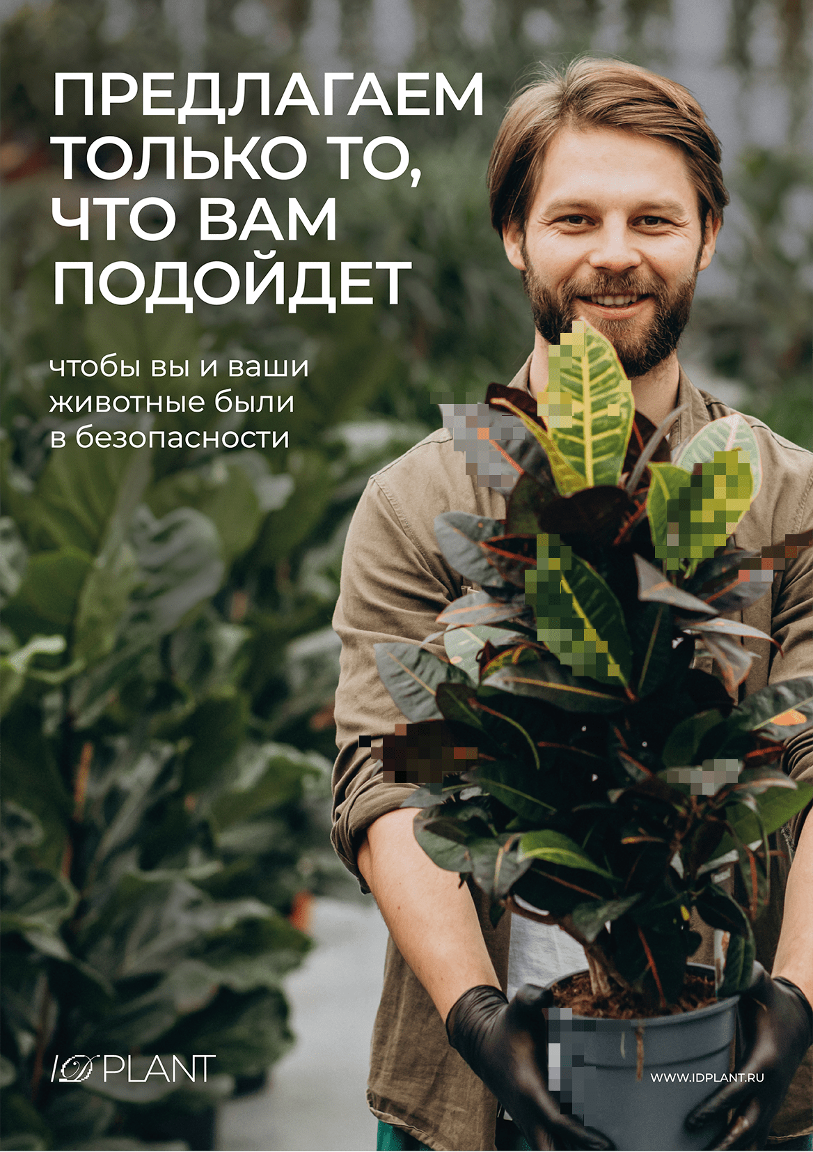 IDPLANT | identity concept — Изображение №10 — Брендинг, Графика на Dprofile