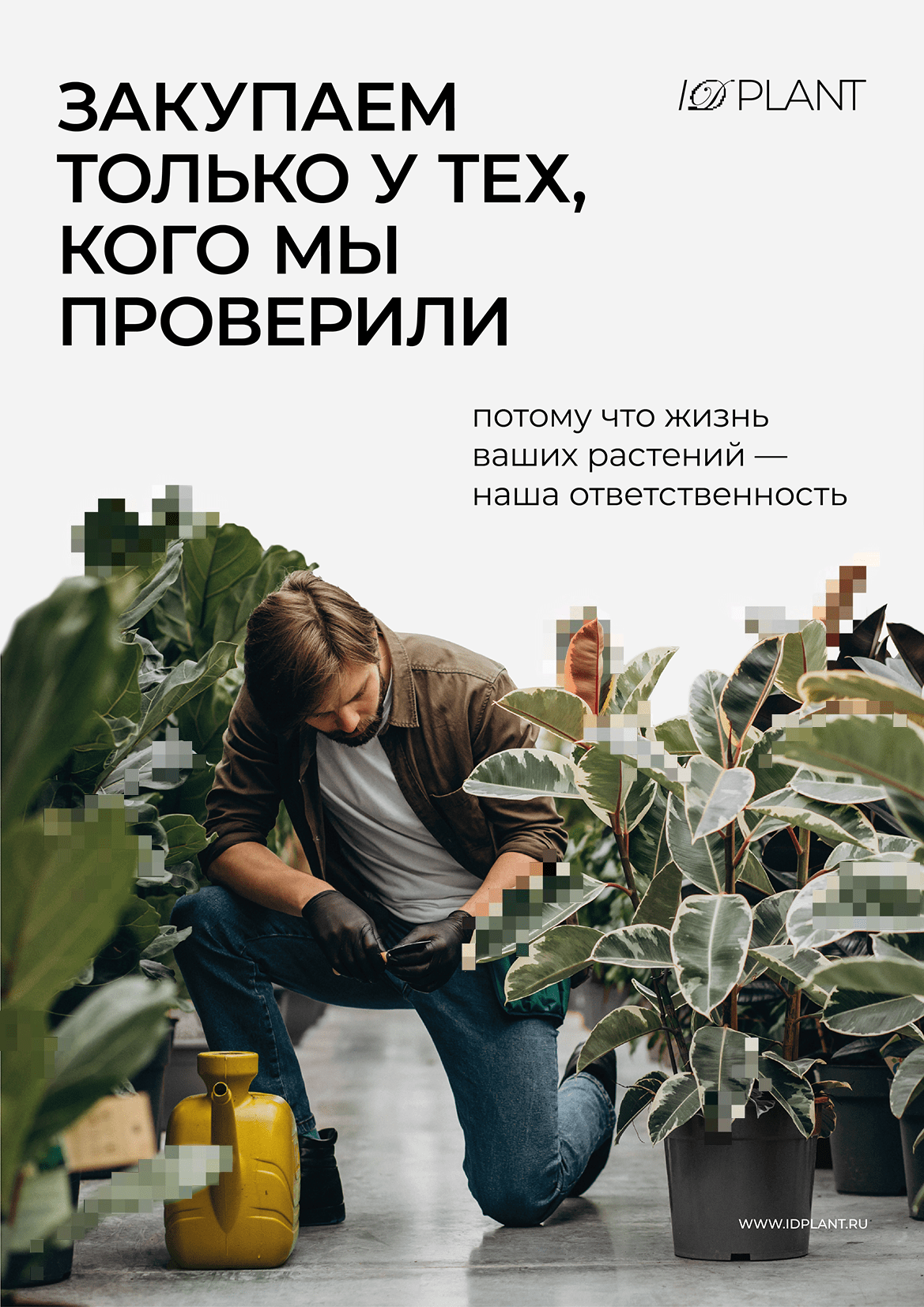 IDPLANT | identity concept — Изображение №12 — Брендинг, Графика на Dprofile