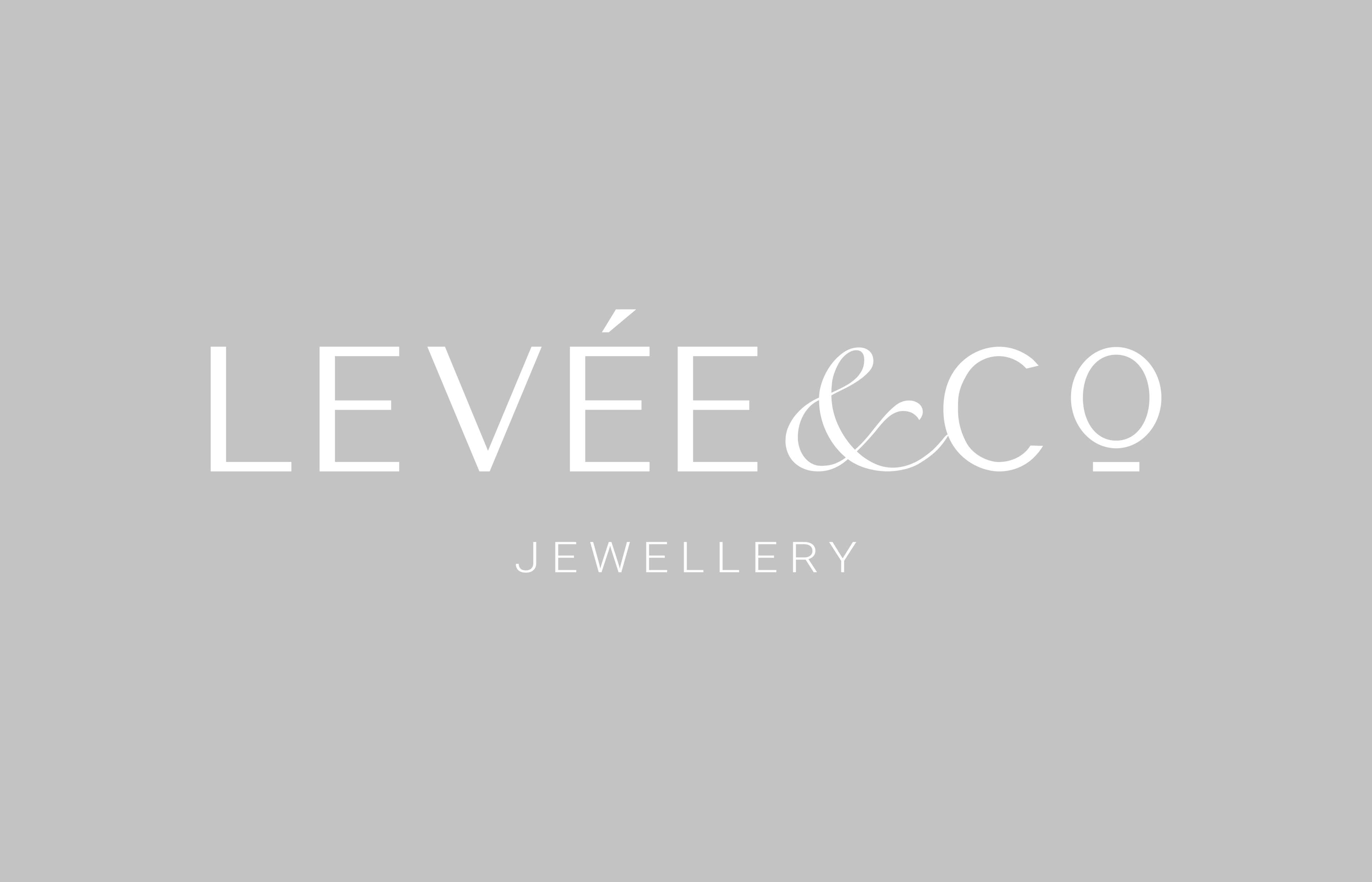 Levee & Co jewellery — Изображение №6 — Брендинг на Dprofile