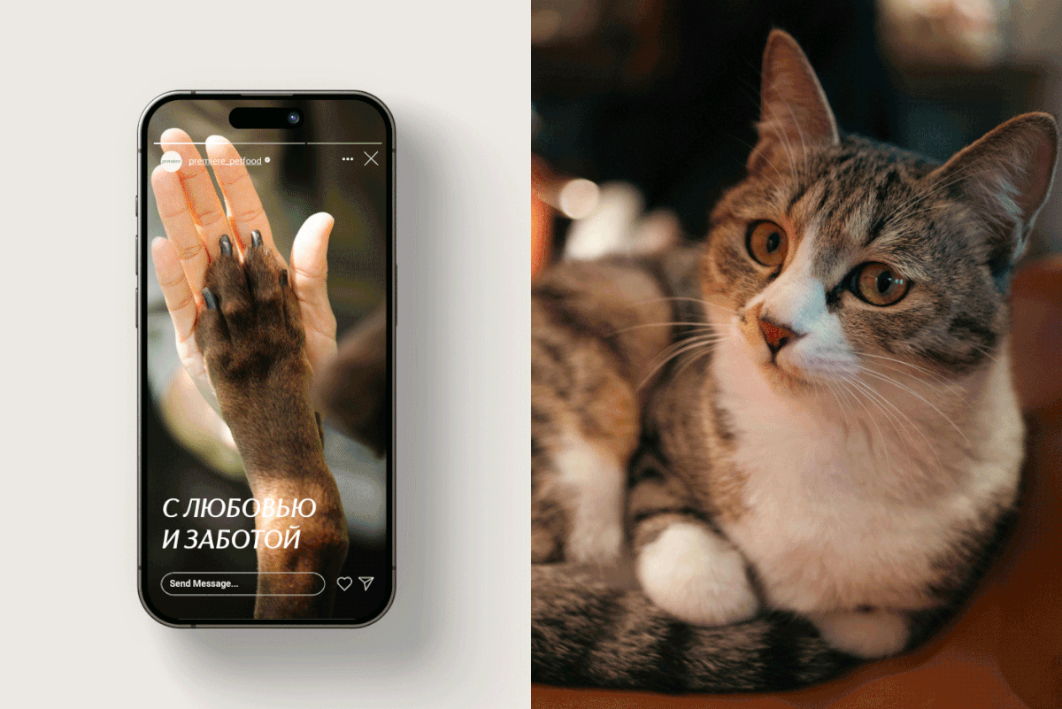 Premiere—логотип & дизайн упаковки корма — Изображение №12 — Брендинг на Dprofile