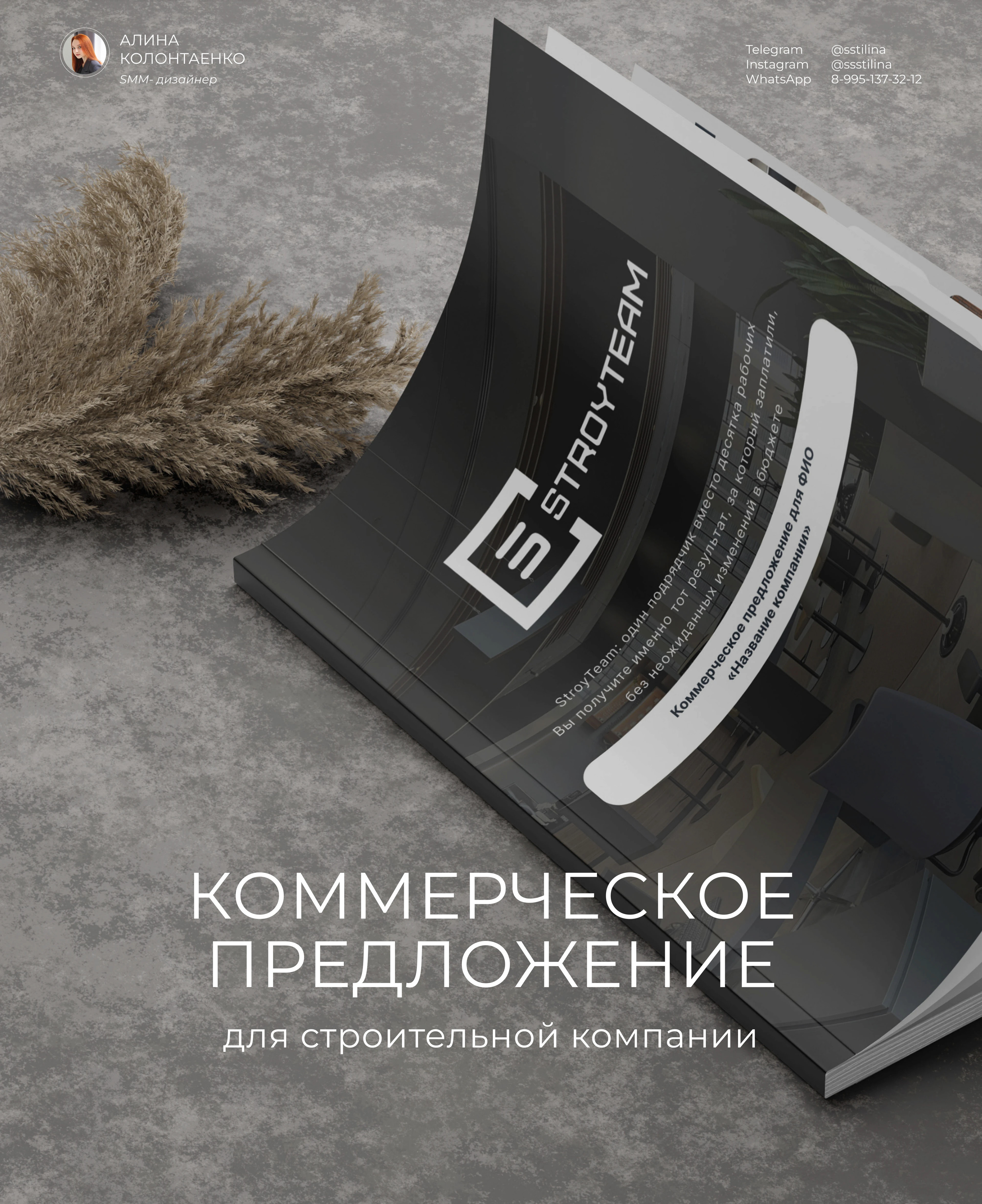 STROYTEAM — Изображение №1 — Графика на Dprofile
