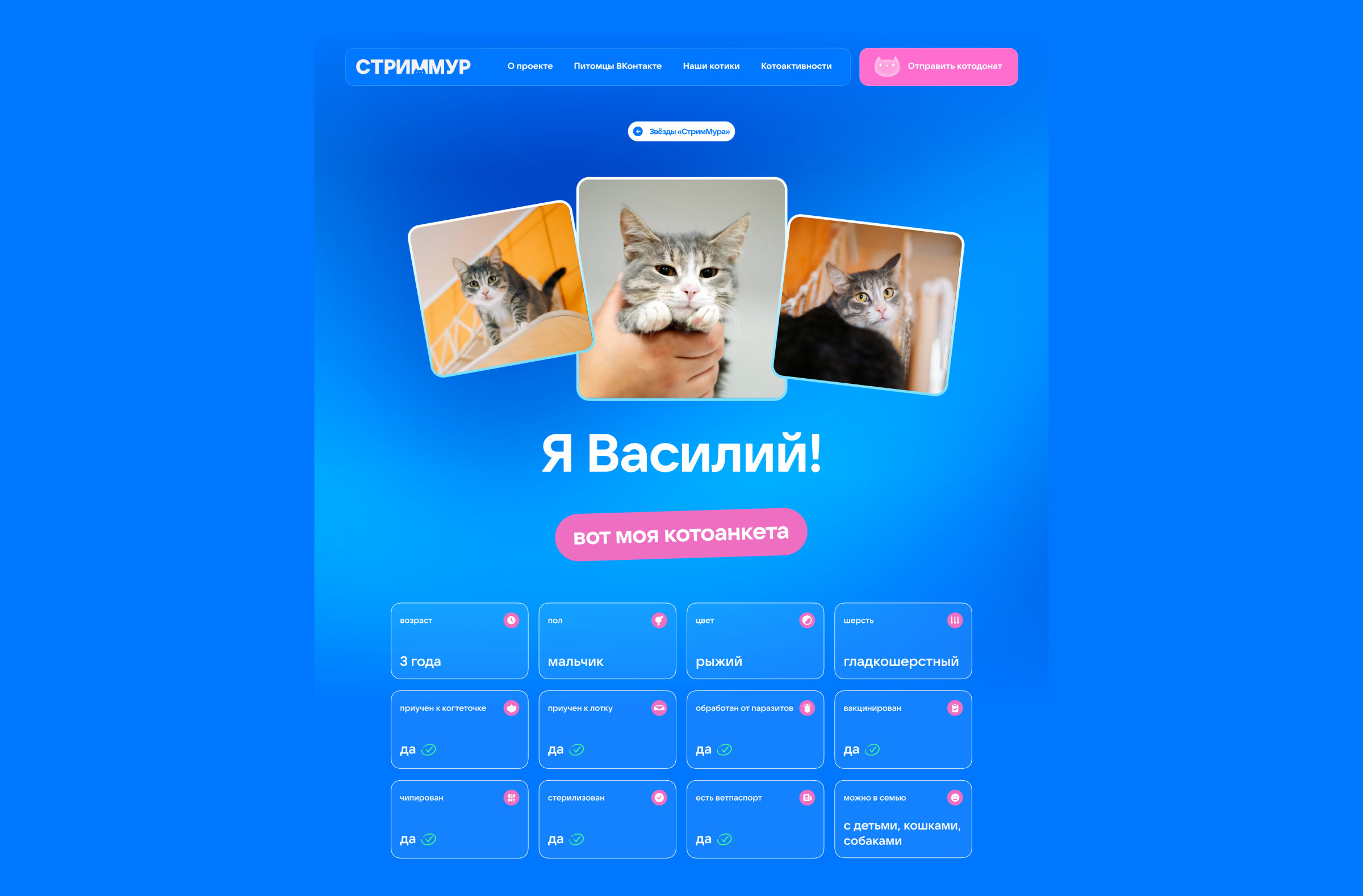 VK — СтримМур — Изображение №15 — Интерфейсы на Dprofile