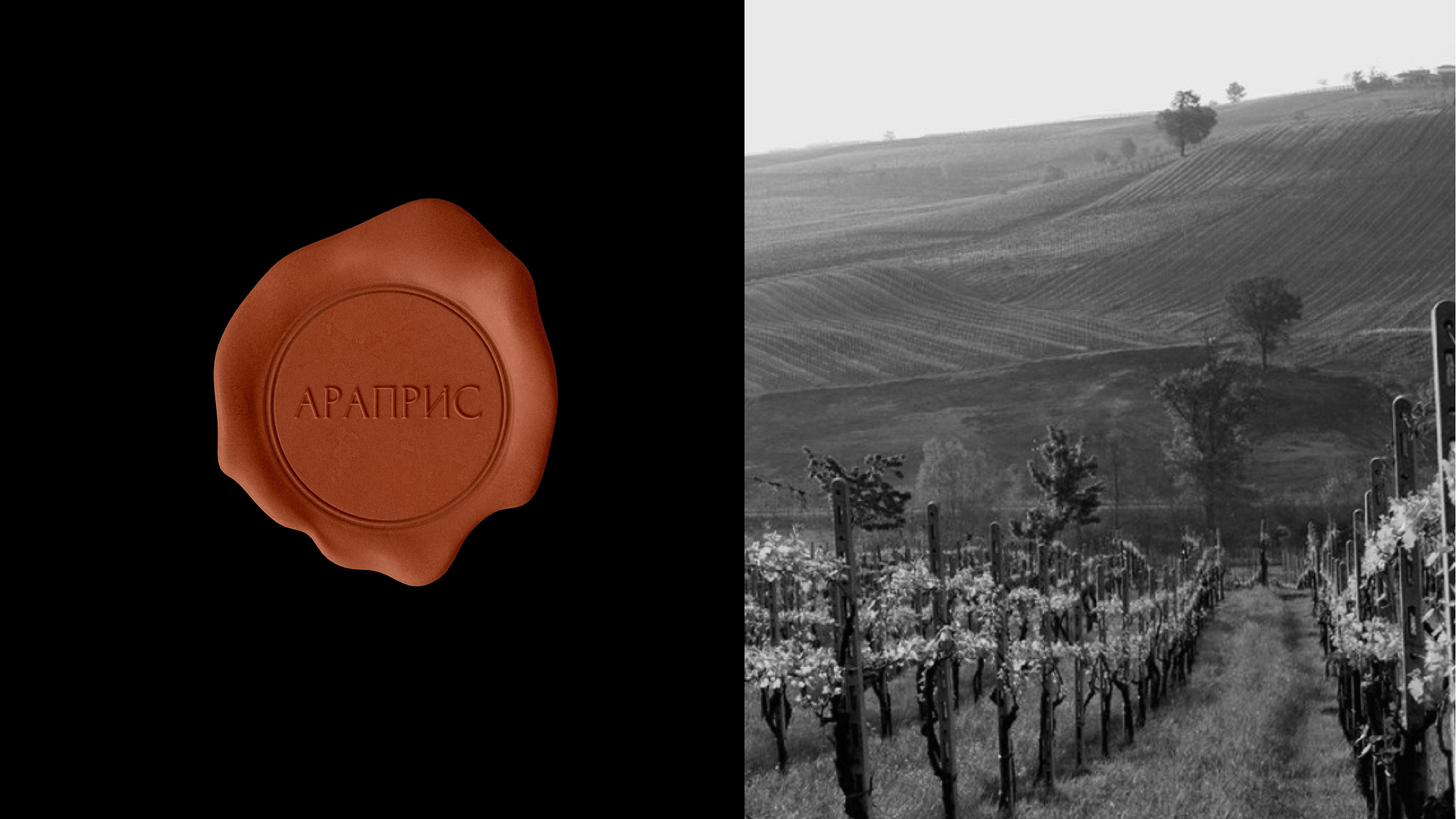 ARAPRIS | WINE DESIGN | VINEYARD — Изображение №11 — Брендинг на Dprofile