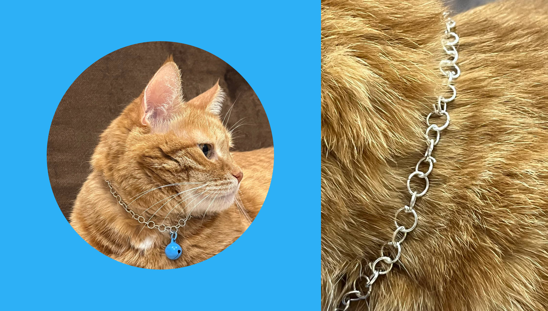 Бижутерия для котов — Изображение №7 — Брендинг, 3D на Dprofile