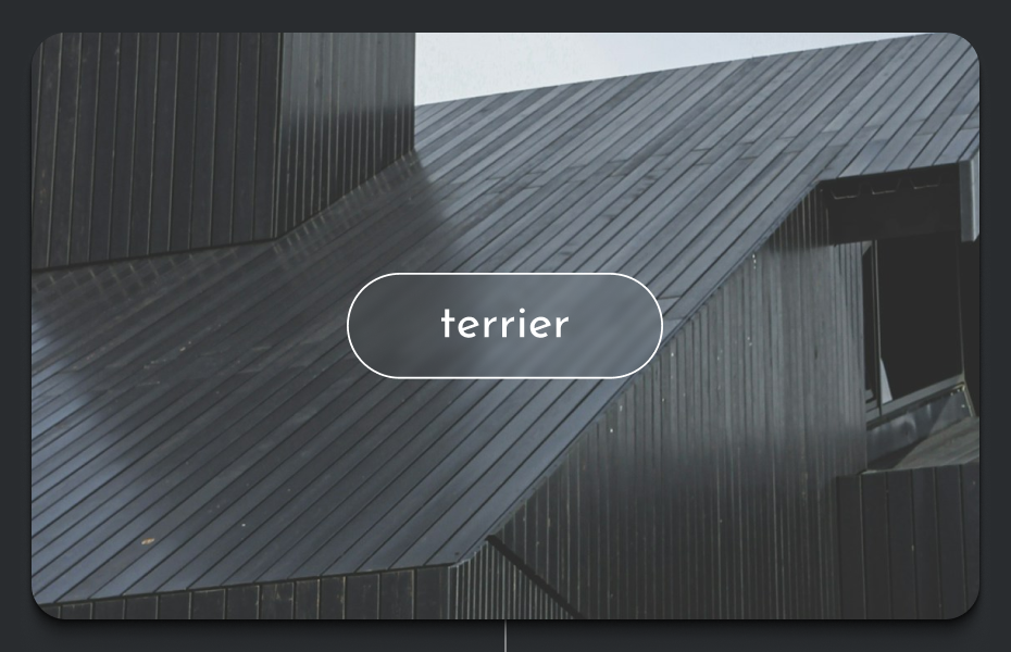 Дизайн-студия Terrier — Изображение №1 — Интерфейсы, Брендинг на Dprofile