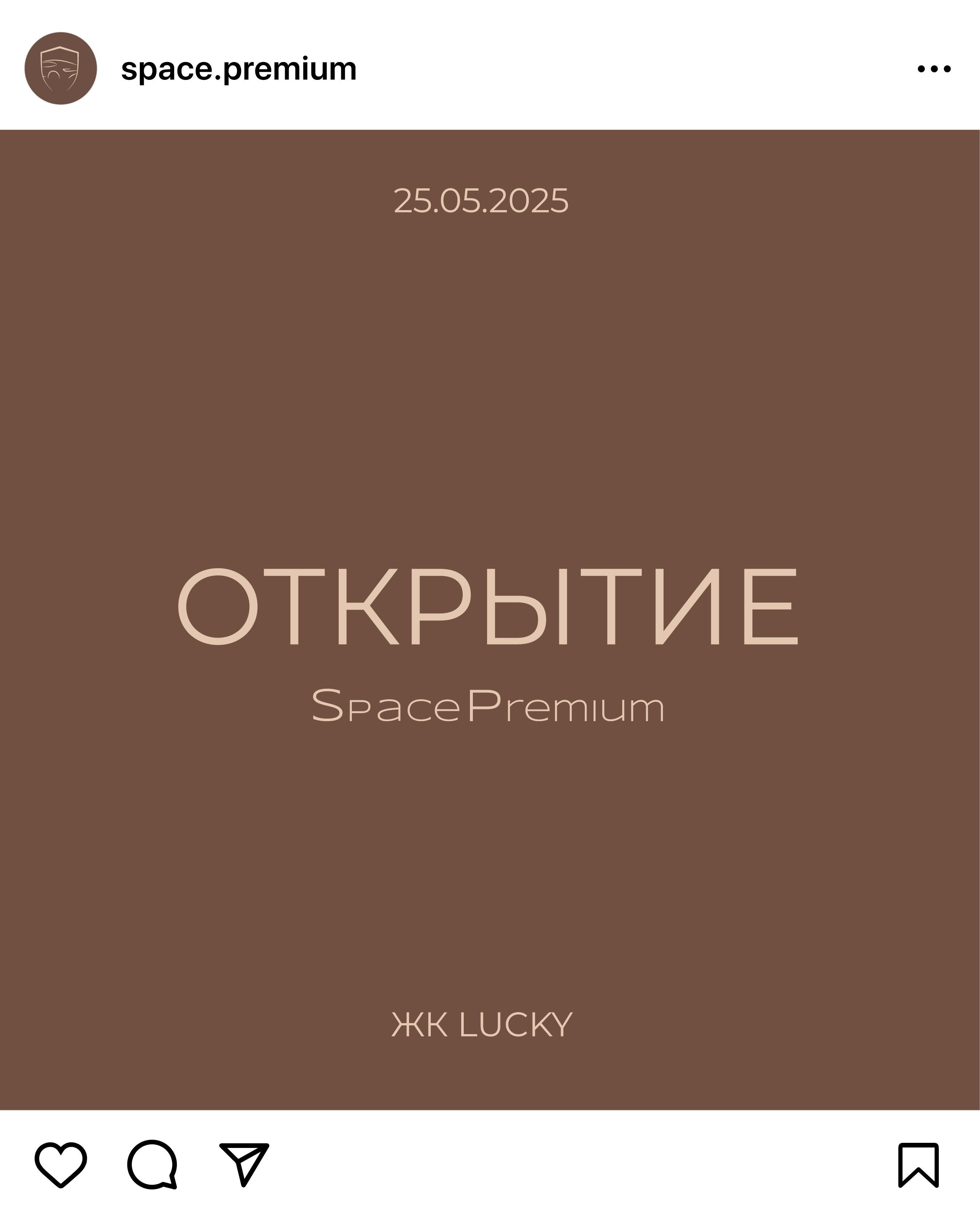 Space Premium | detailing — Изображение №16 — Брендинг, Графика на Dprofile