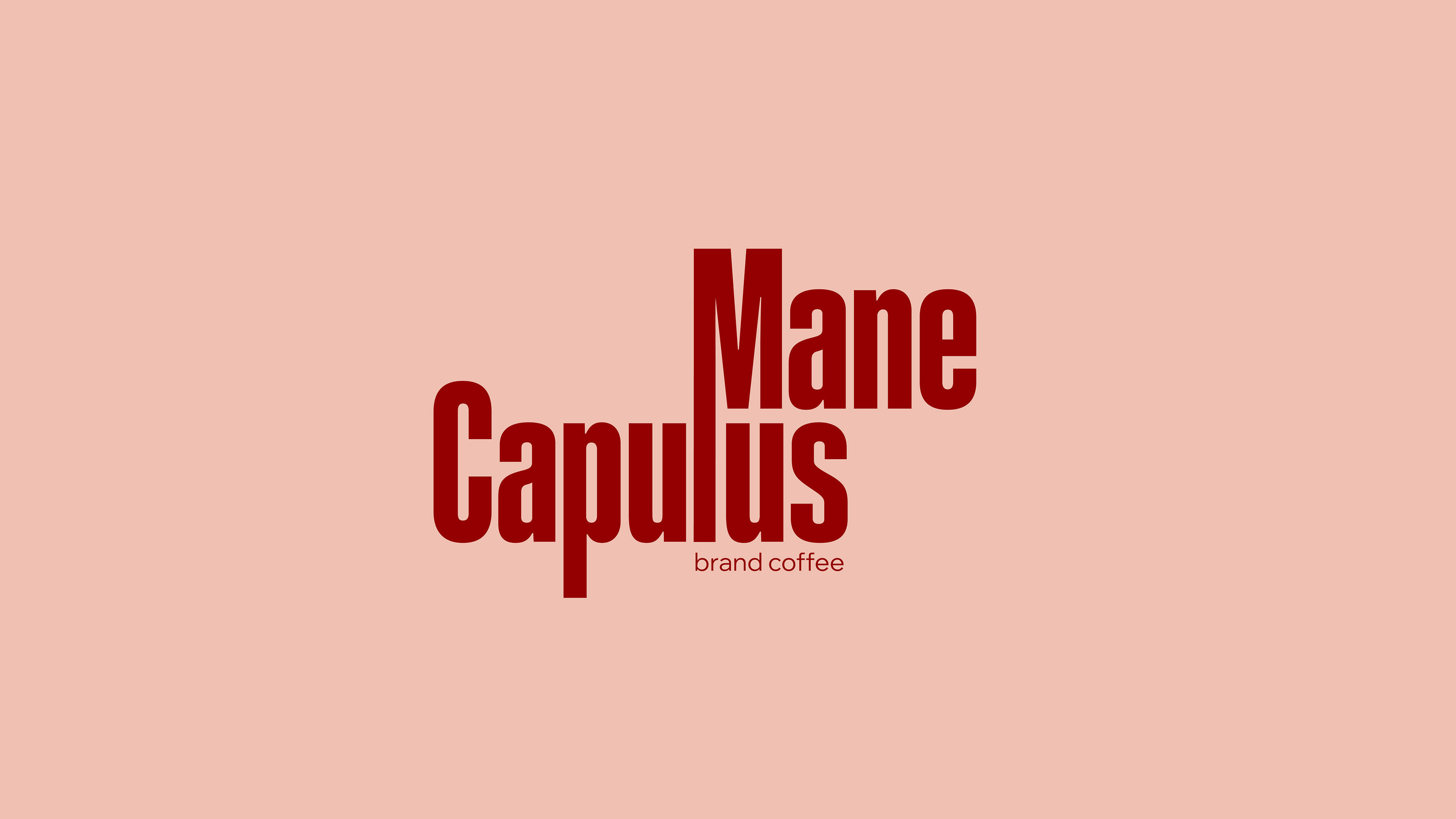 Mane Capulus — Изображение №1 — Брендинг на Dprofile