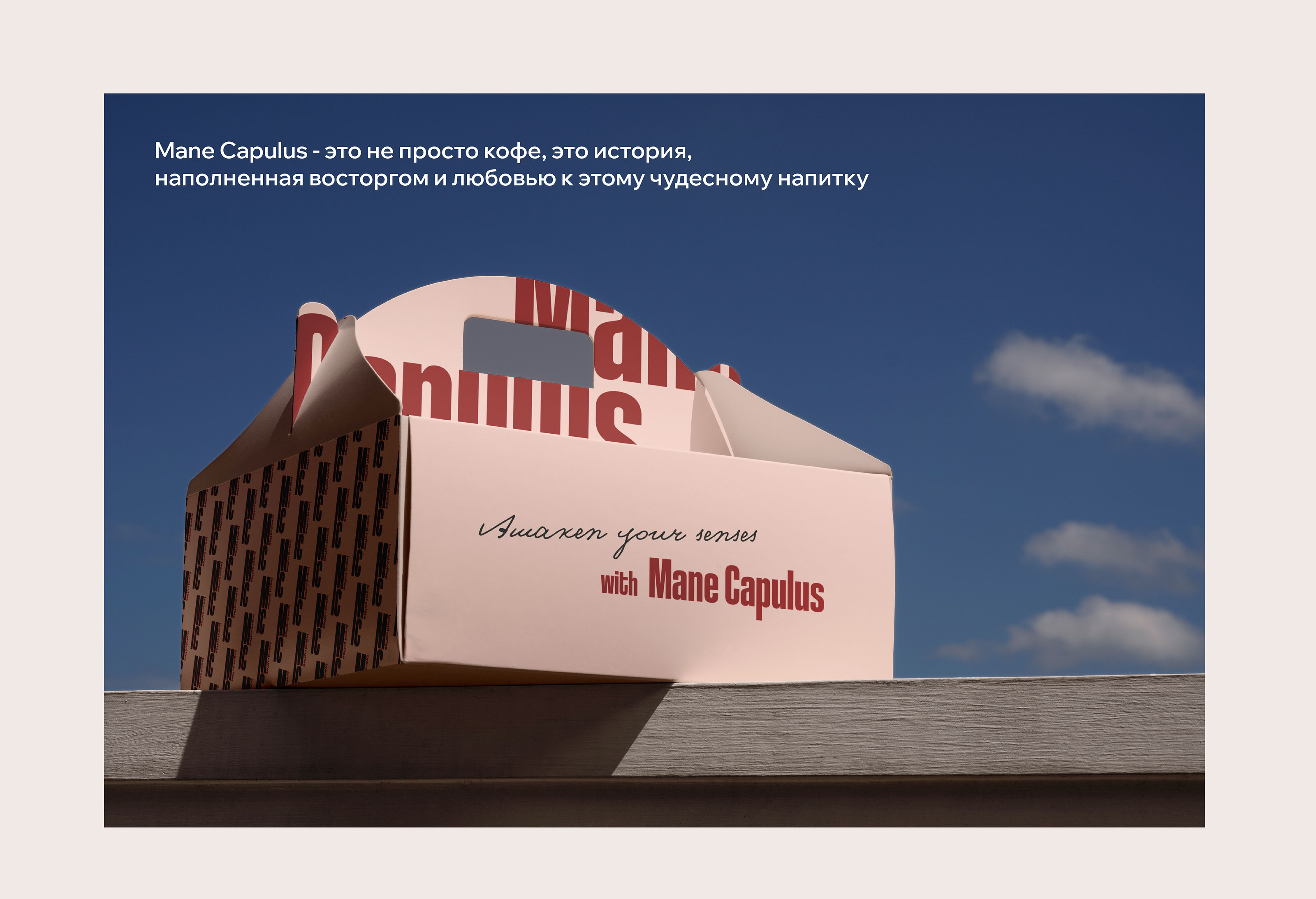 Mane Capulus — Изображение №21 — Брендинг на Dprofile