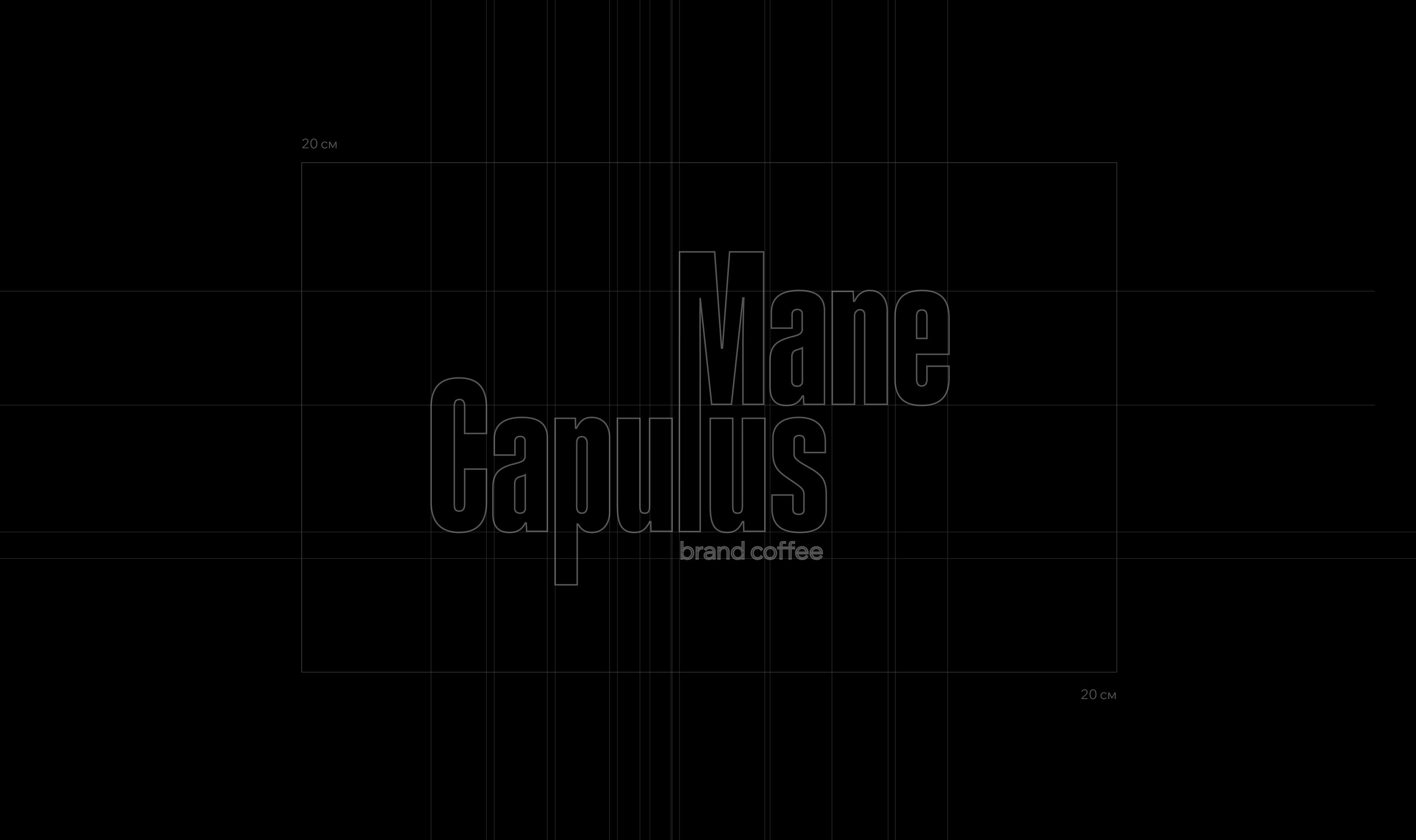 Mane Capulus — Изображение №2 — Брендинг на Dprofile