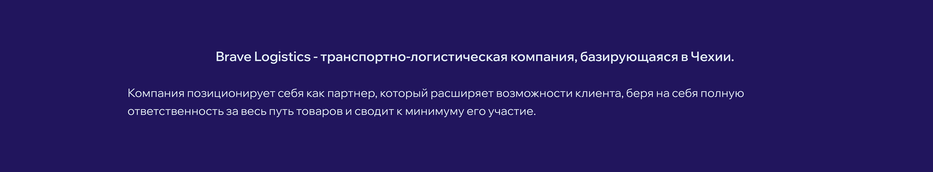 Brave Logistics — Изображение №2 — Брендинг, Графика на Dprofile