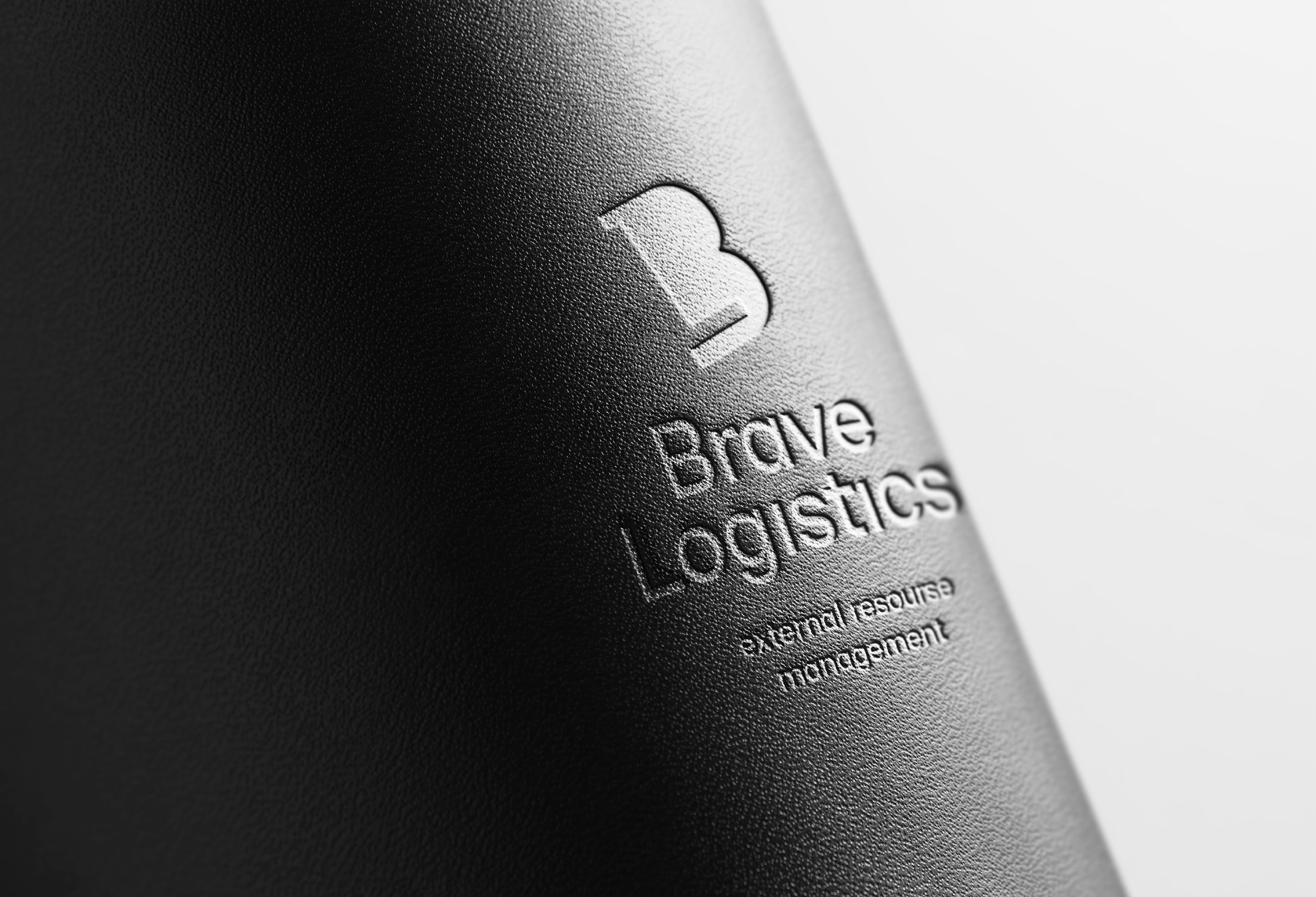 Brave Logistics — Изображение №1 — Брендинг, Графика на Dprofile