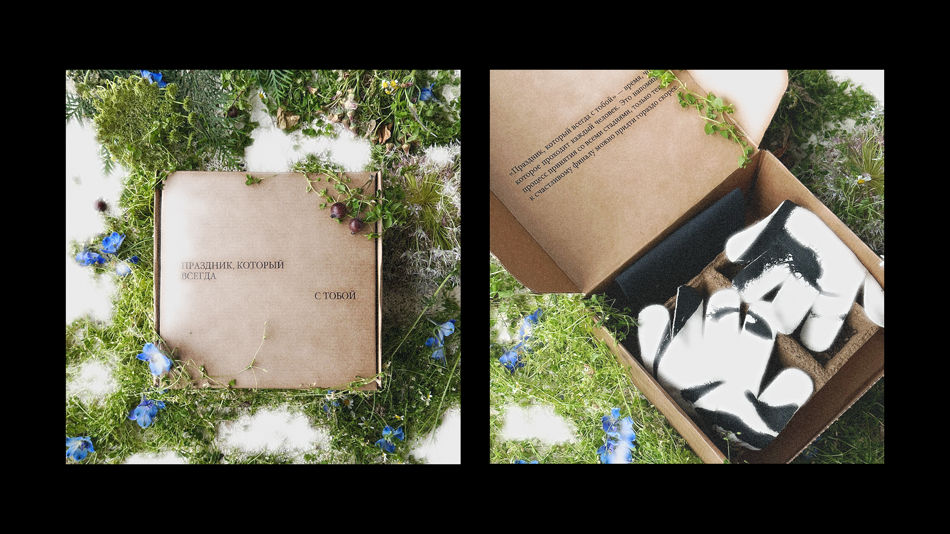 promotional case — Изображение №1 — Брендинг, Графика на Dprofile