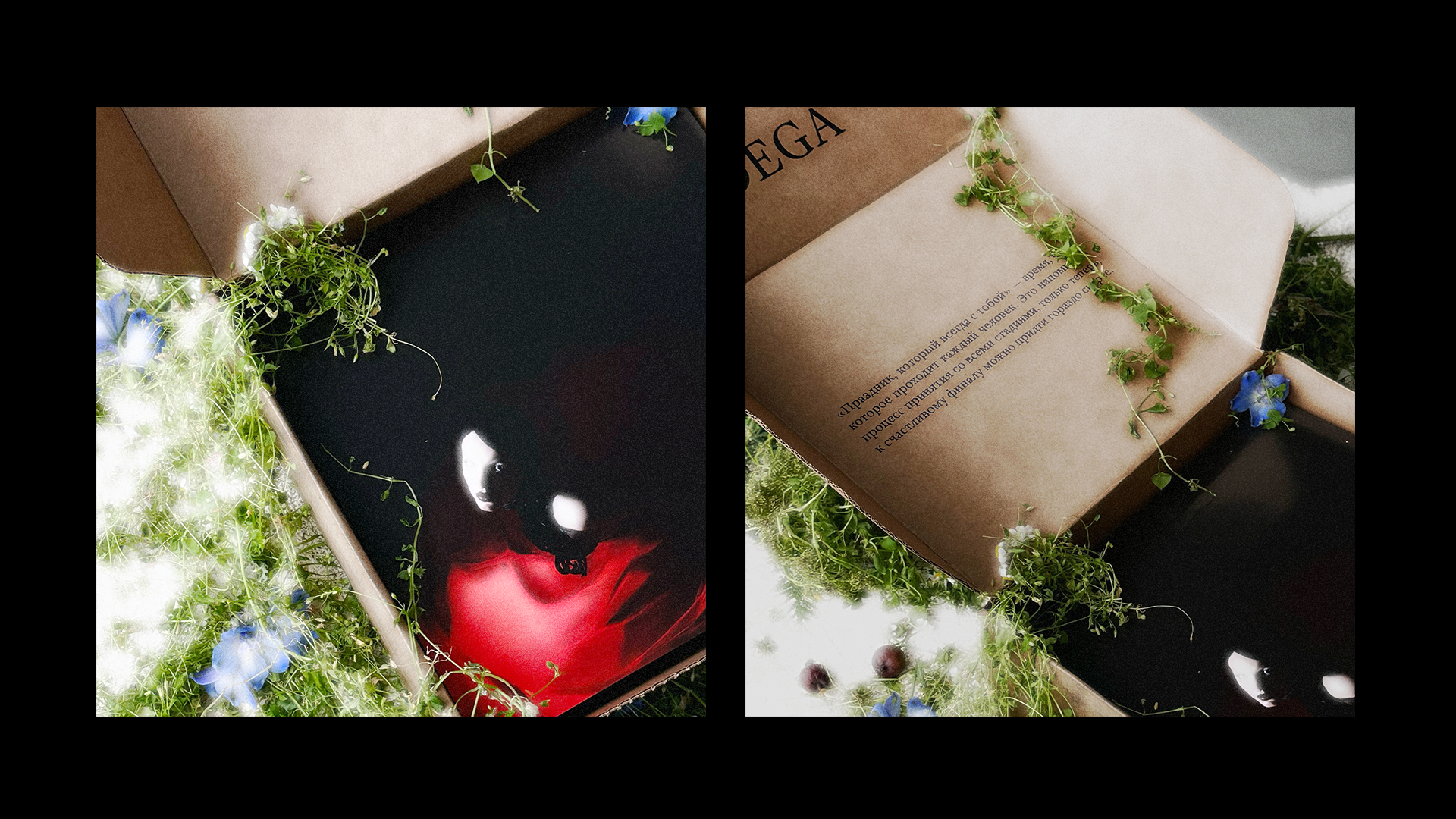 promotional case — Изображение №2 — Брендинг, Графика на Dprofile