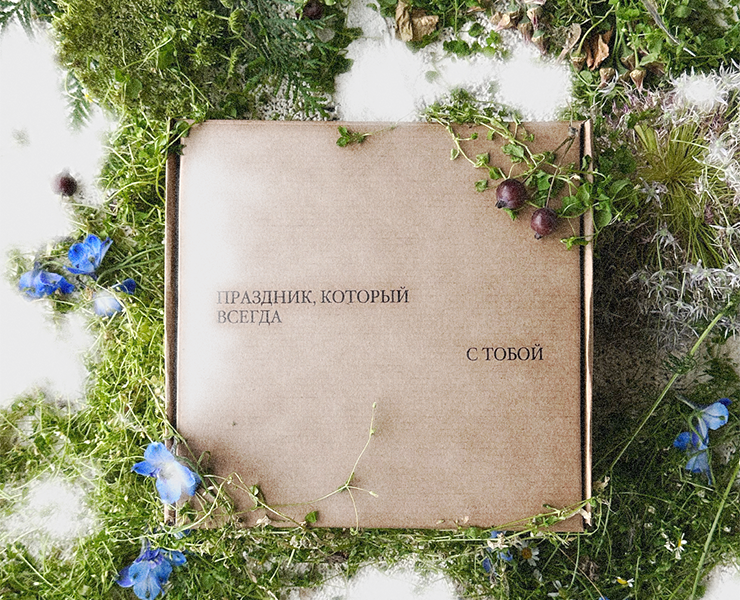 promotional case — Брендинг, Графика на Dprofile