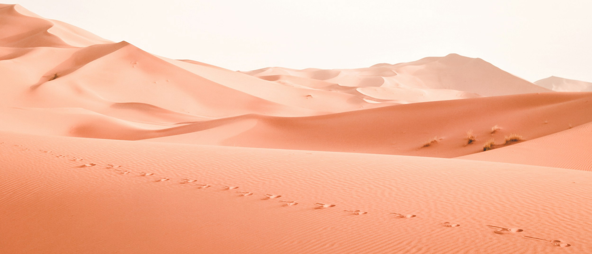 Косметика | фирменный стиль — Изображение №6 — Брендинг на Dprofile