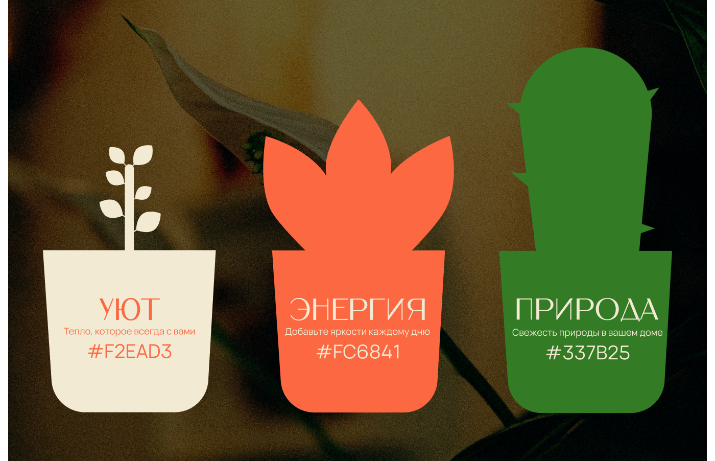 Разработка бренда для магазина Цветник — Изображение №3 — Брендинг на Dprofile