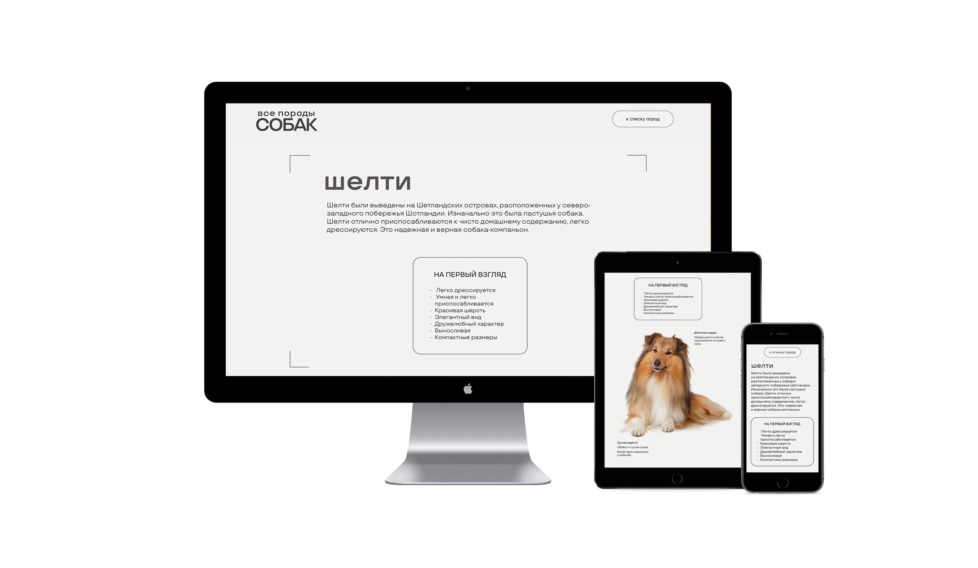 Энциклопедический сайт про породы собак — Изображение №2 — Интерфейсы на Dprofile