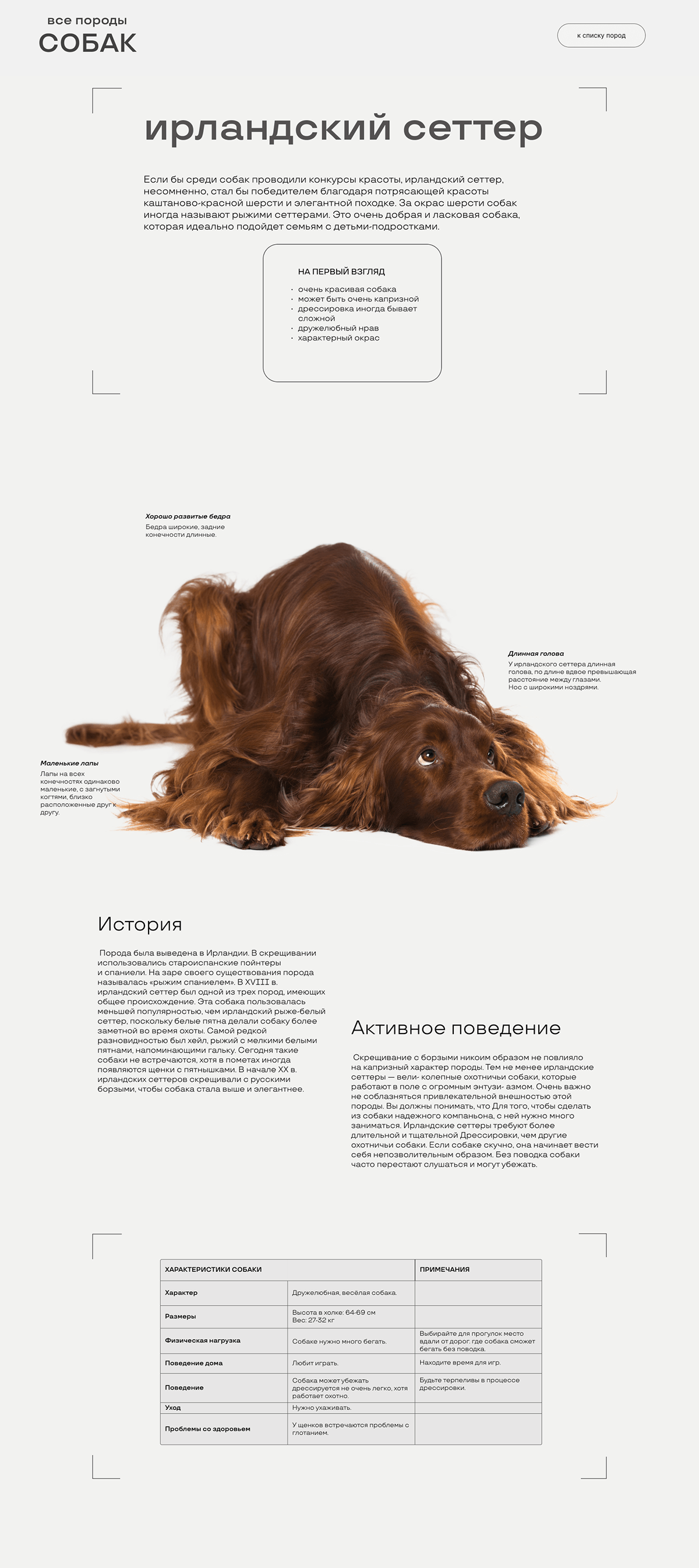 Энциклопедический сайт про породы собак — Изображение №3 — Интерфейсы на Dprofile