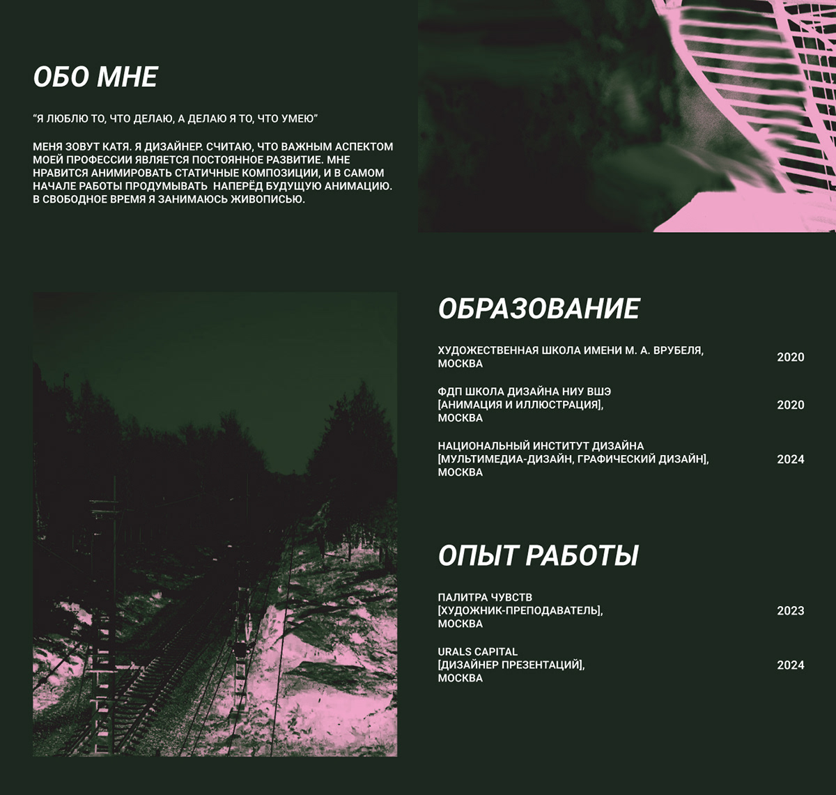Резюме дизайнера — Изображение №2 — Брендинг на Dprofile