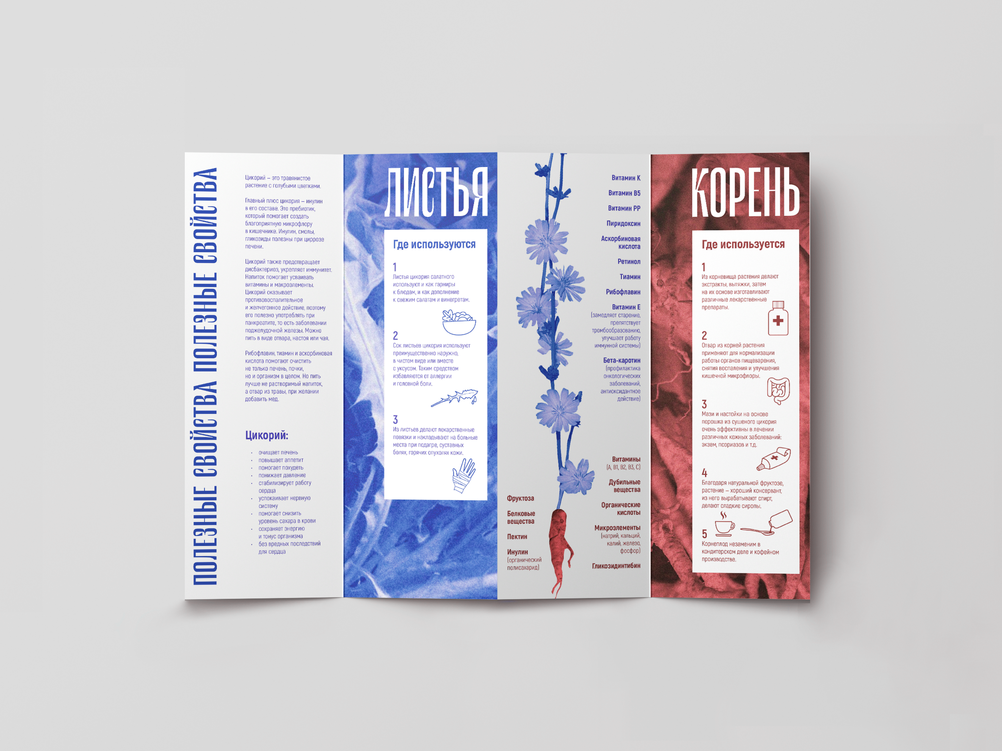 Brochure graphic design — Изображение №2 — Брендинг, Графика на Dprofile