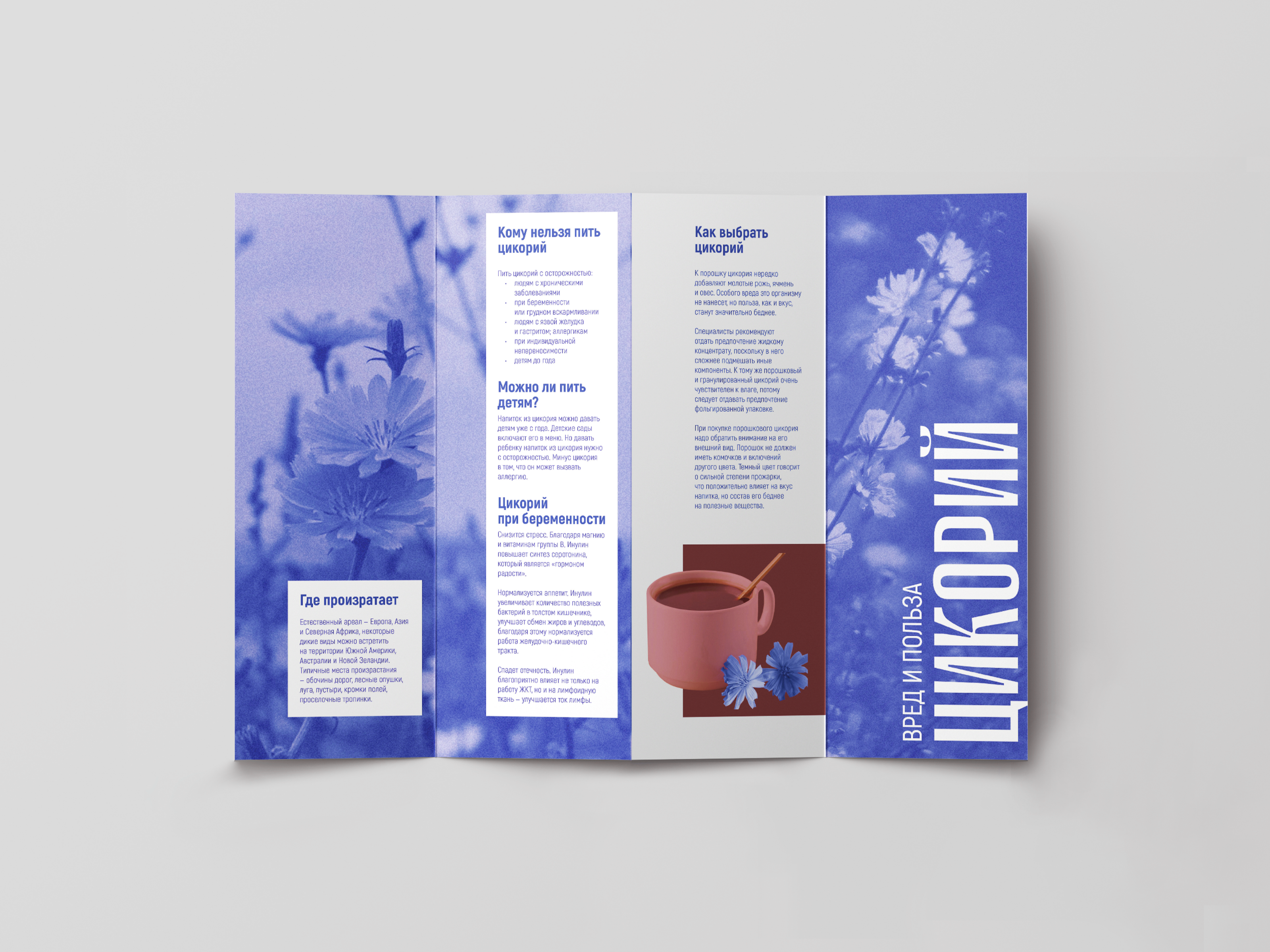 Brochure graphic design — Изображение №1 — Брендинг, Графика на Dprofile