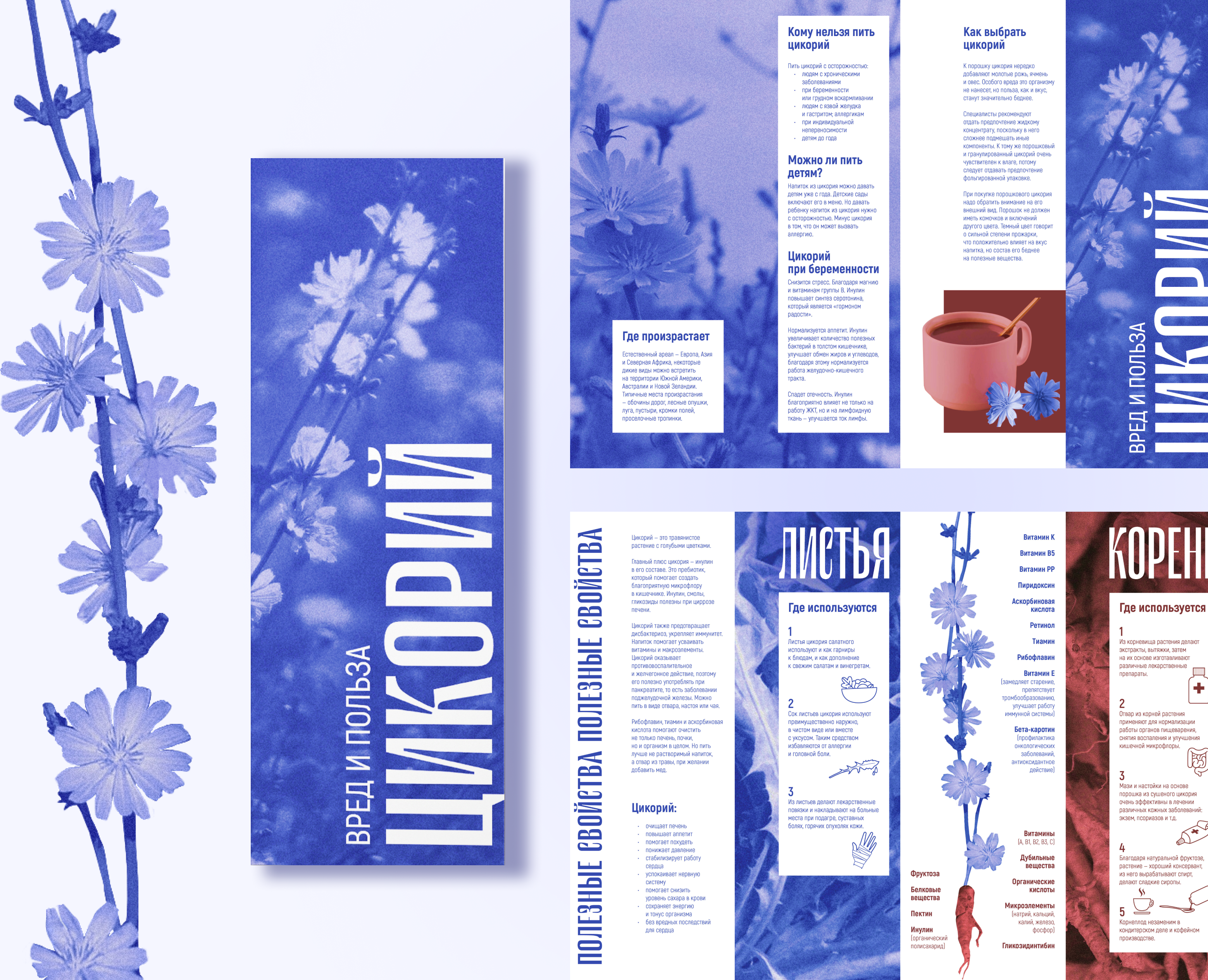 Brochure graphic design — Брендинг, Графика на Dprofile