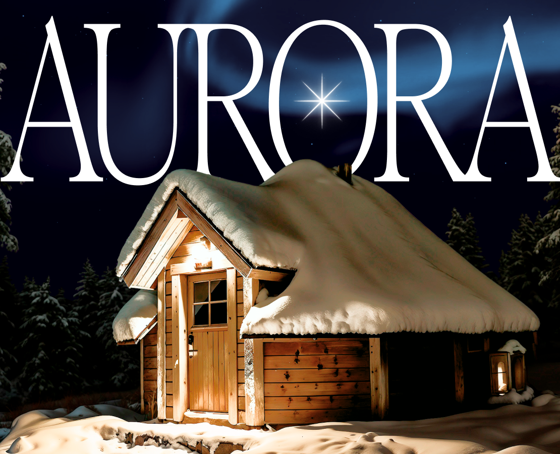 FINNISH HOTEL | Corporate website | Aurora Sky Village — Интерфейсы на Dprofile