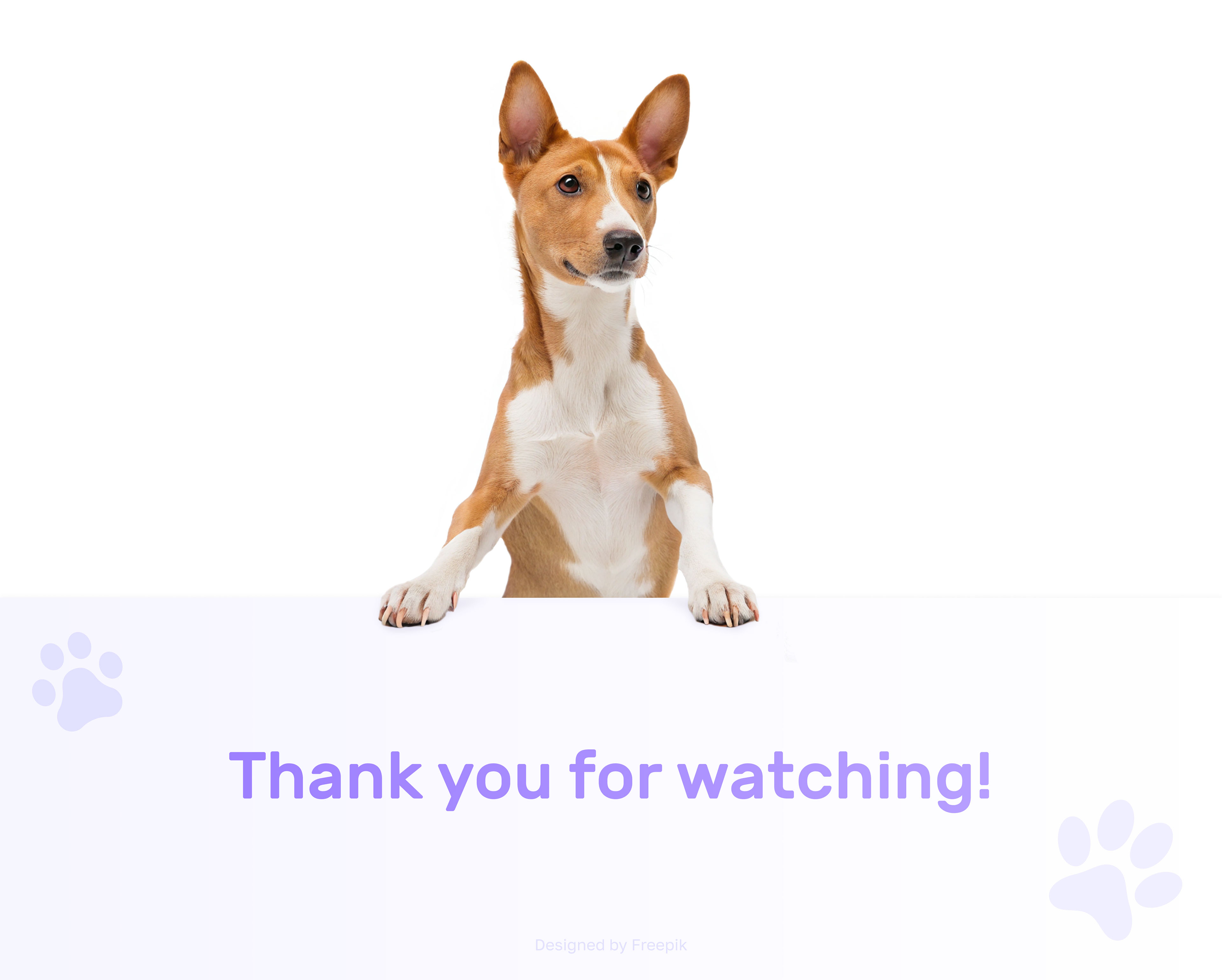 Сайт для груминг салона | Grooming salon website — Изображение №14 — Интерфейсы, Брендинг на Dprofile