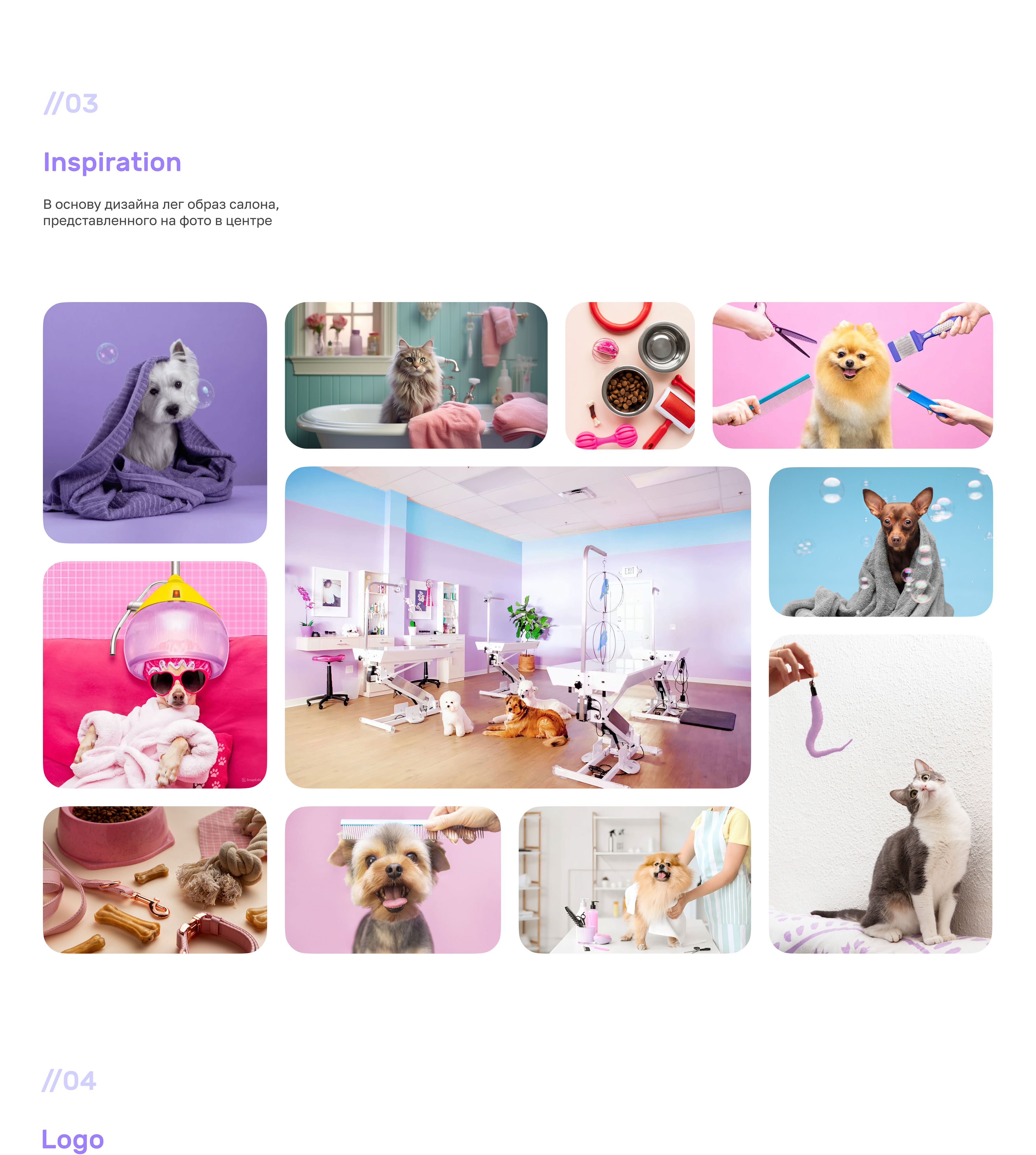 Сайт для груминг салона | Grooming salon website — Изображение №3 — Интерфейсы, Брендинг на Dprofile