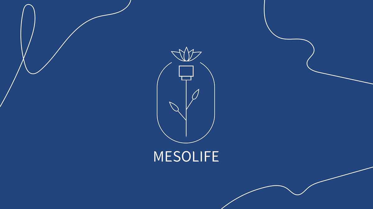 Mesolife — Изображение №1 — Брендинг на Dprofile