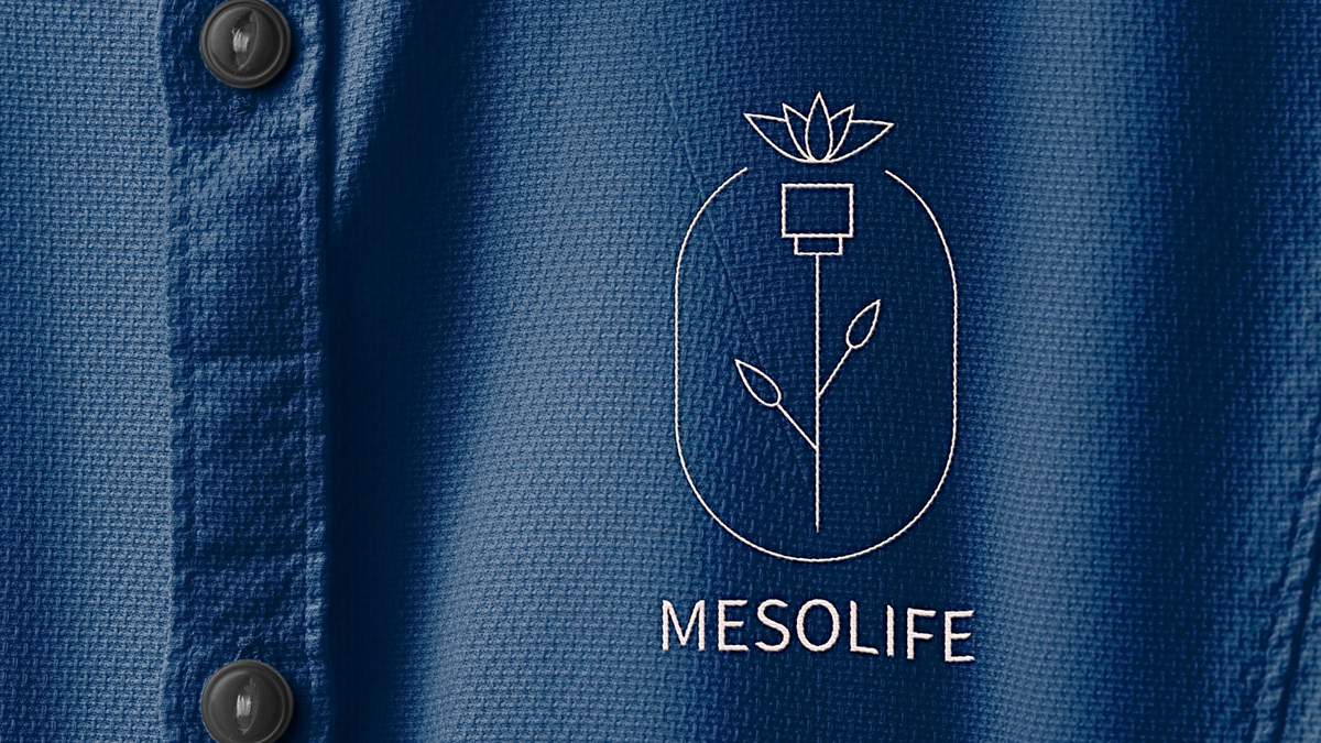 Mesolife — Изображение №7 — Брендинг на Dprofile
