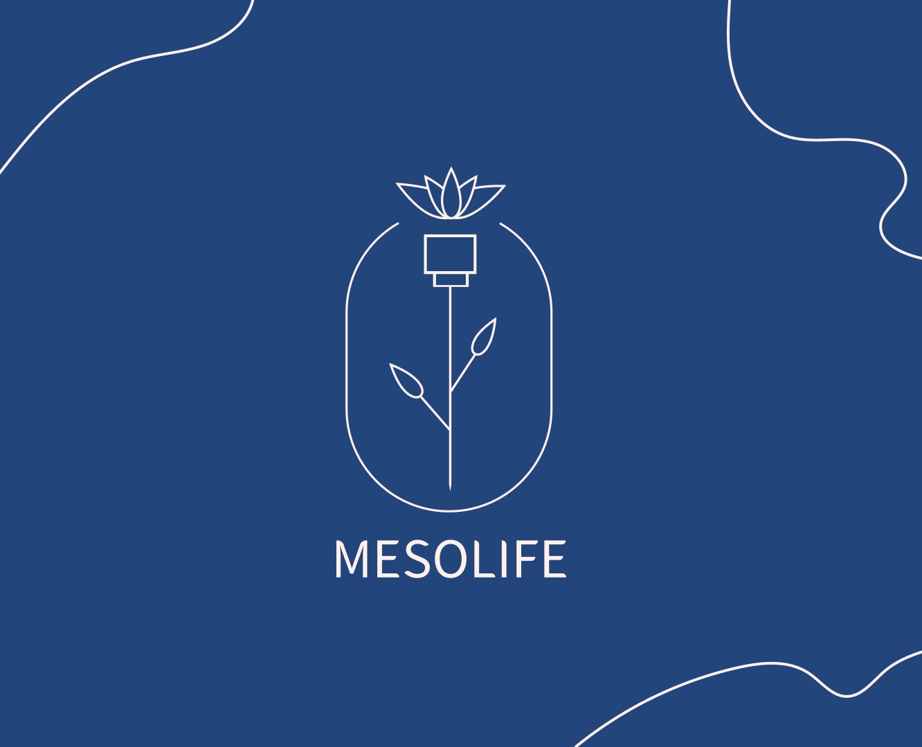 Mesolife — Брендинг на Dprofile
